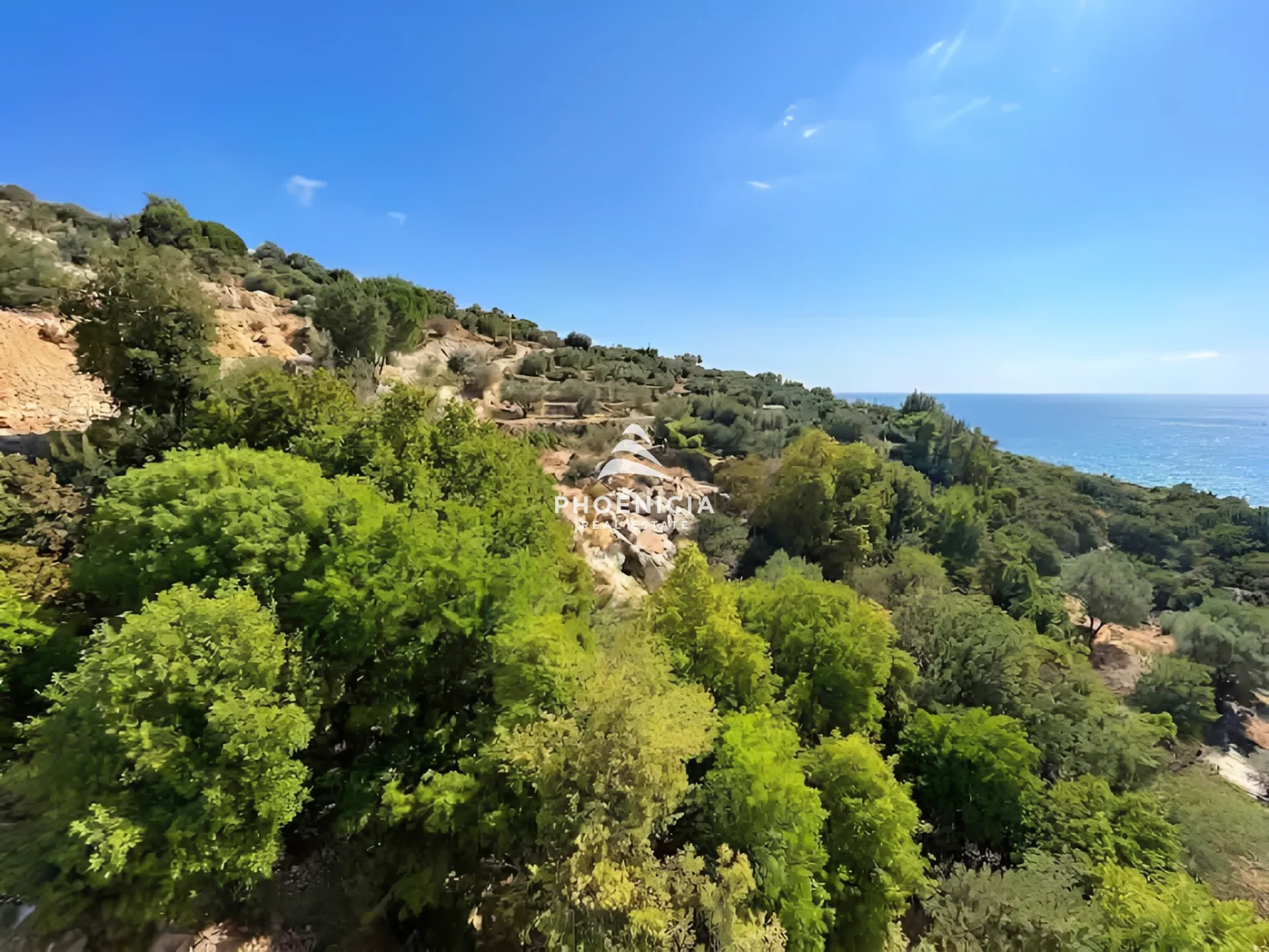 Land for Sale in Fidar