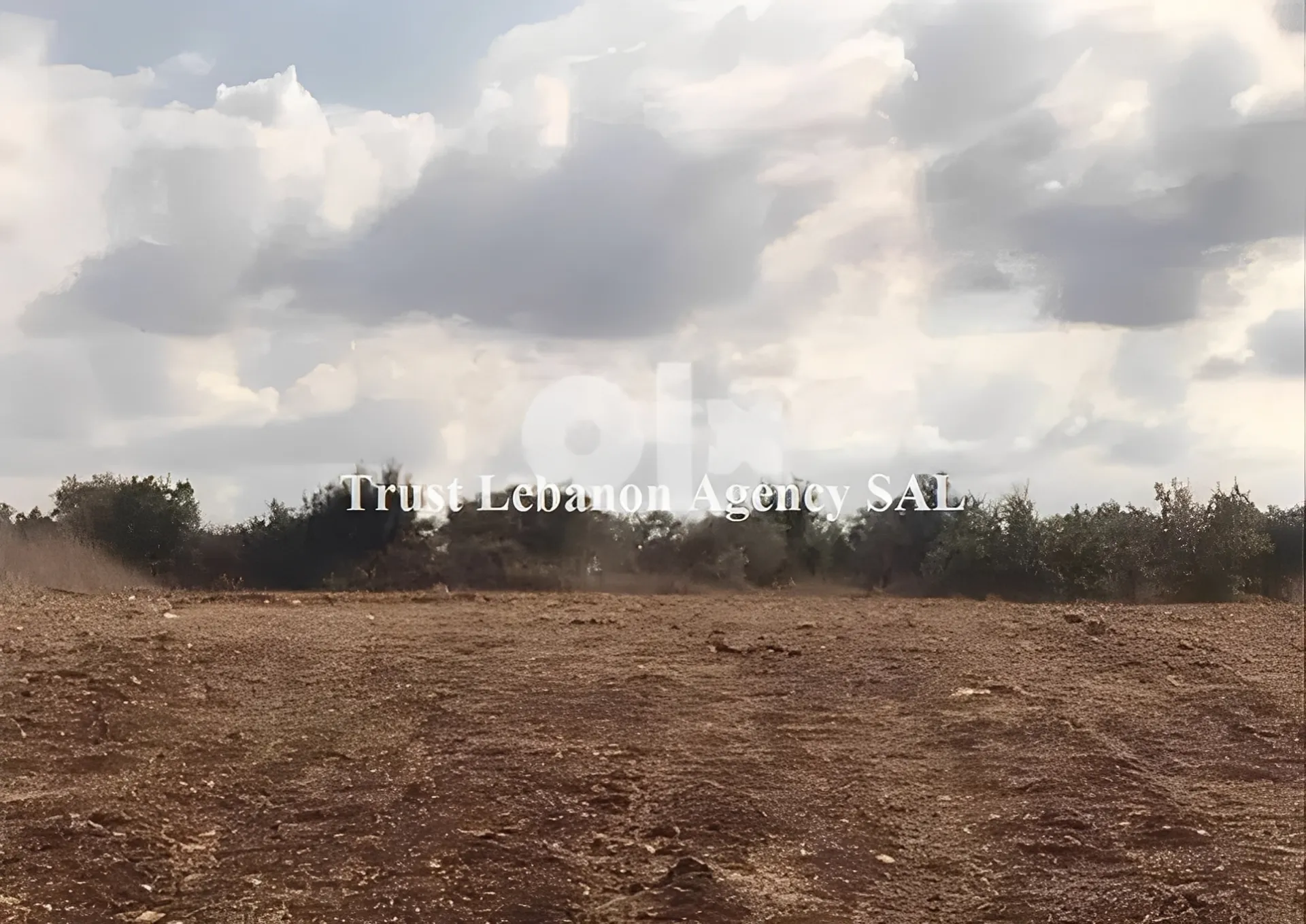 Land for Sale in Nabatiye Lebanon