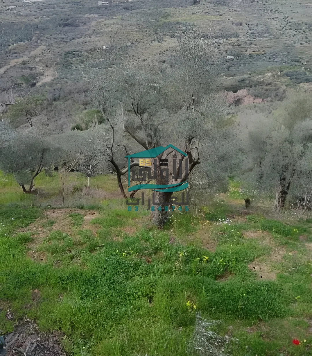 Land in راشيَا، lebanon