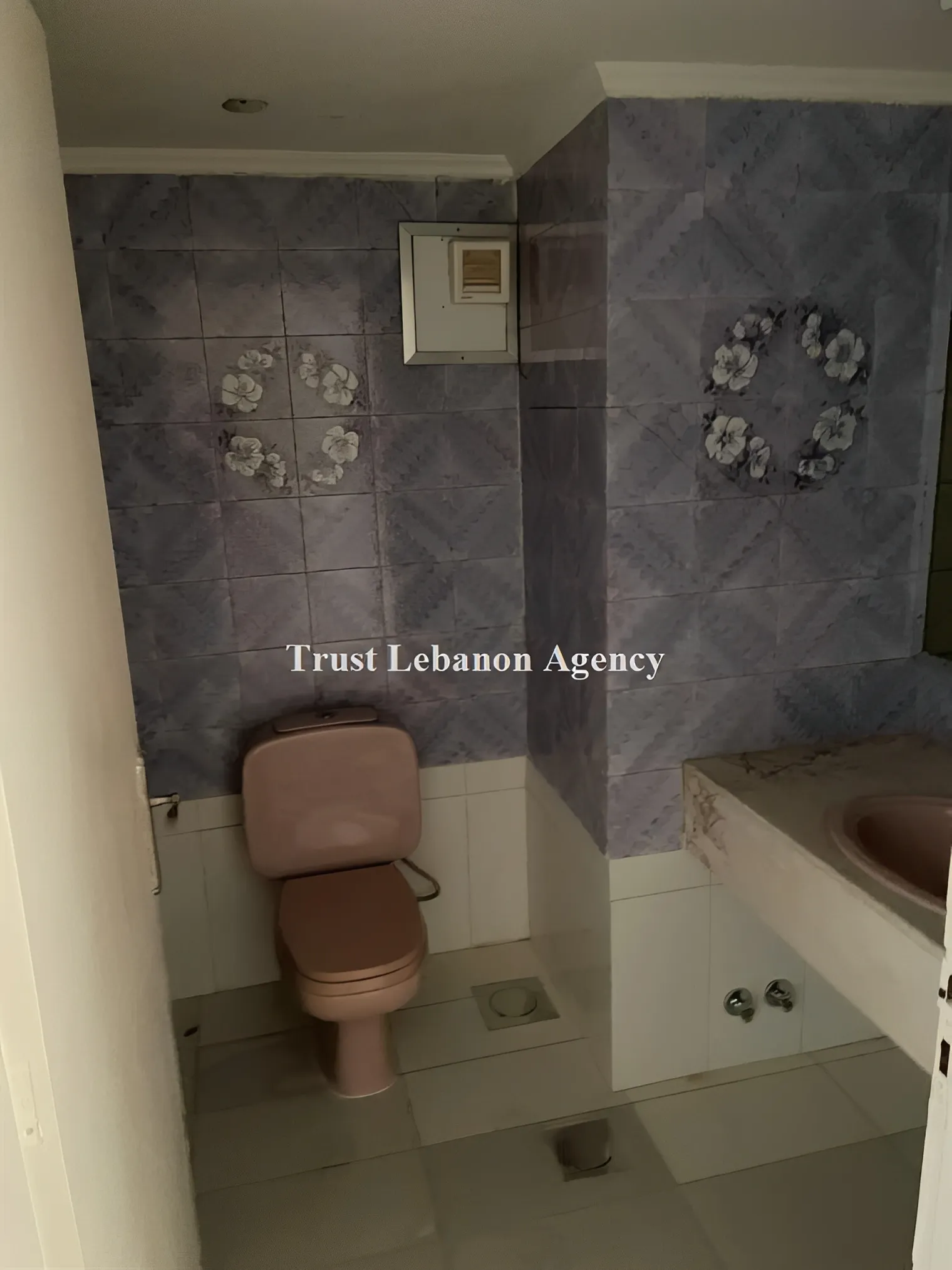 Apartment for Rent in Ashrafieh Beirut Lebanon