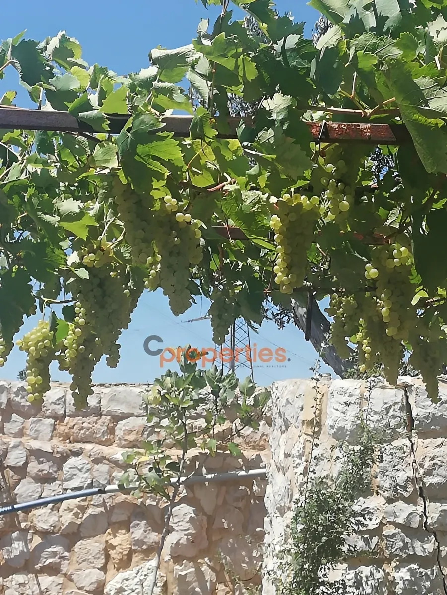 Land for Sale in Ghineh