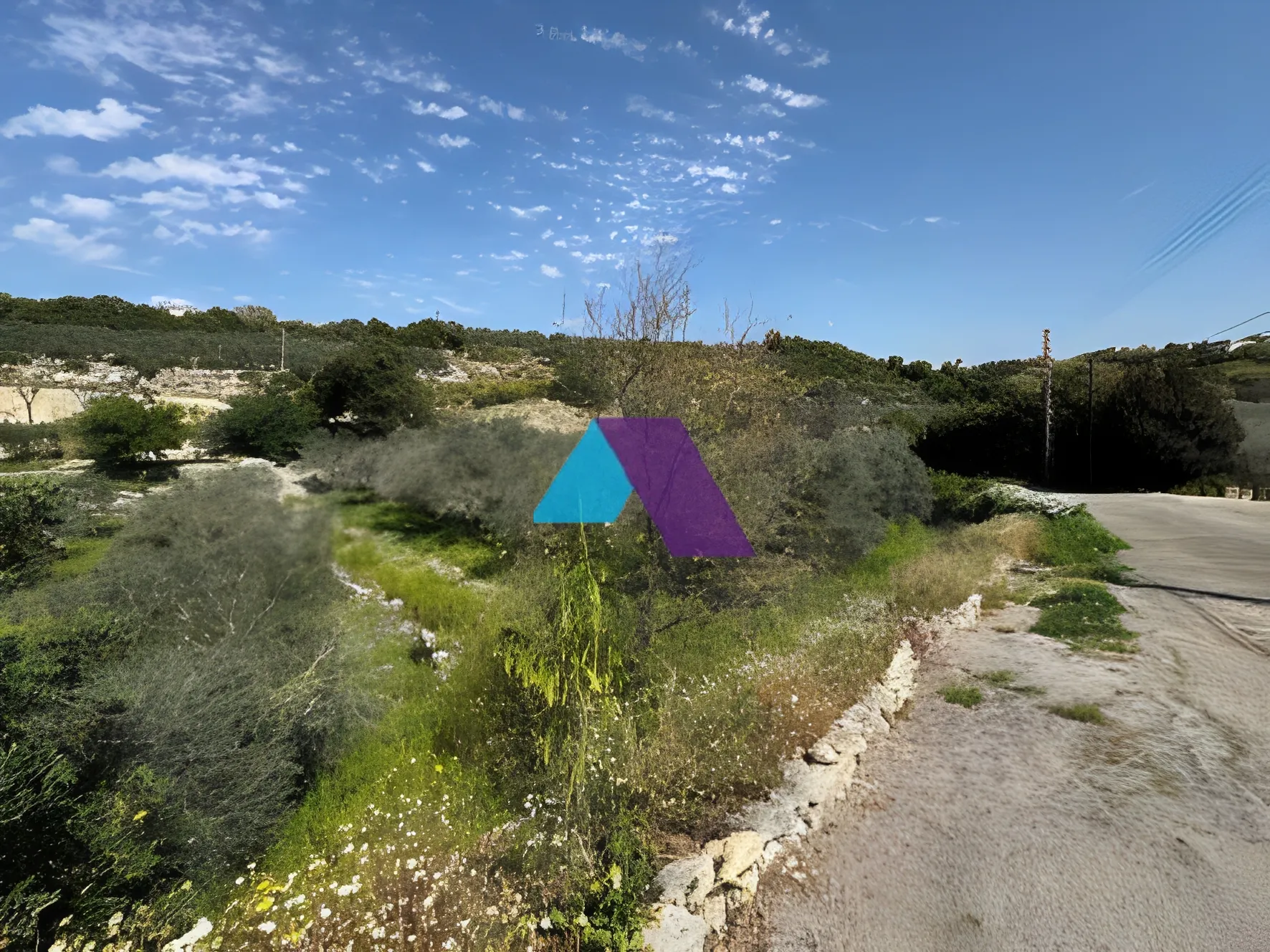 Land for Sale in Rihani