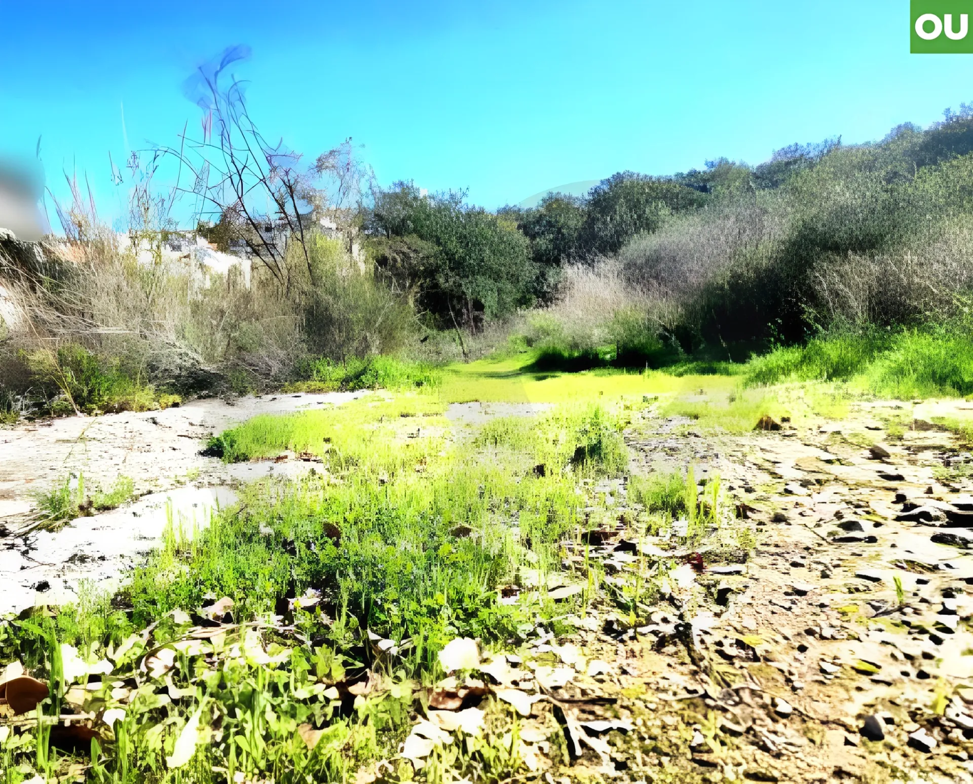 Land for Sale in Bayada