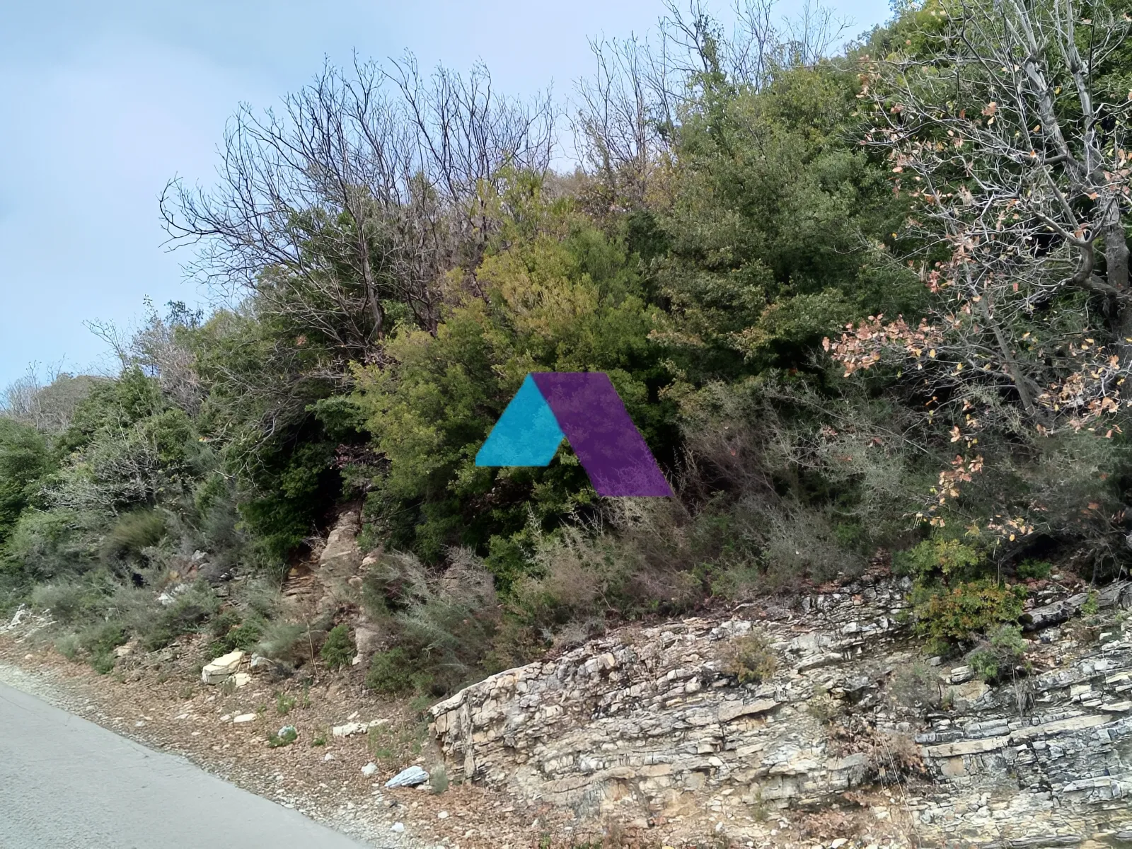 Land for Sale in Mechmech