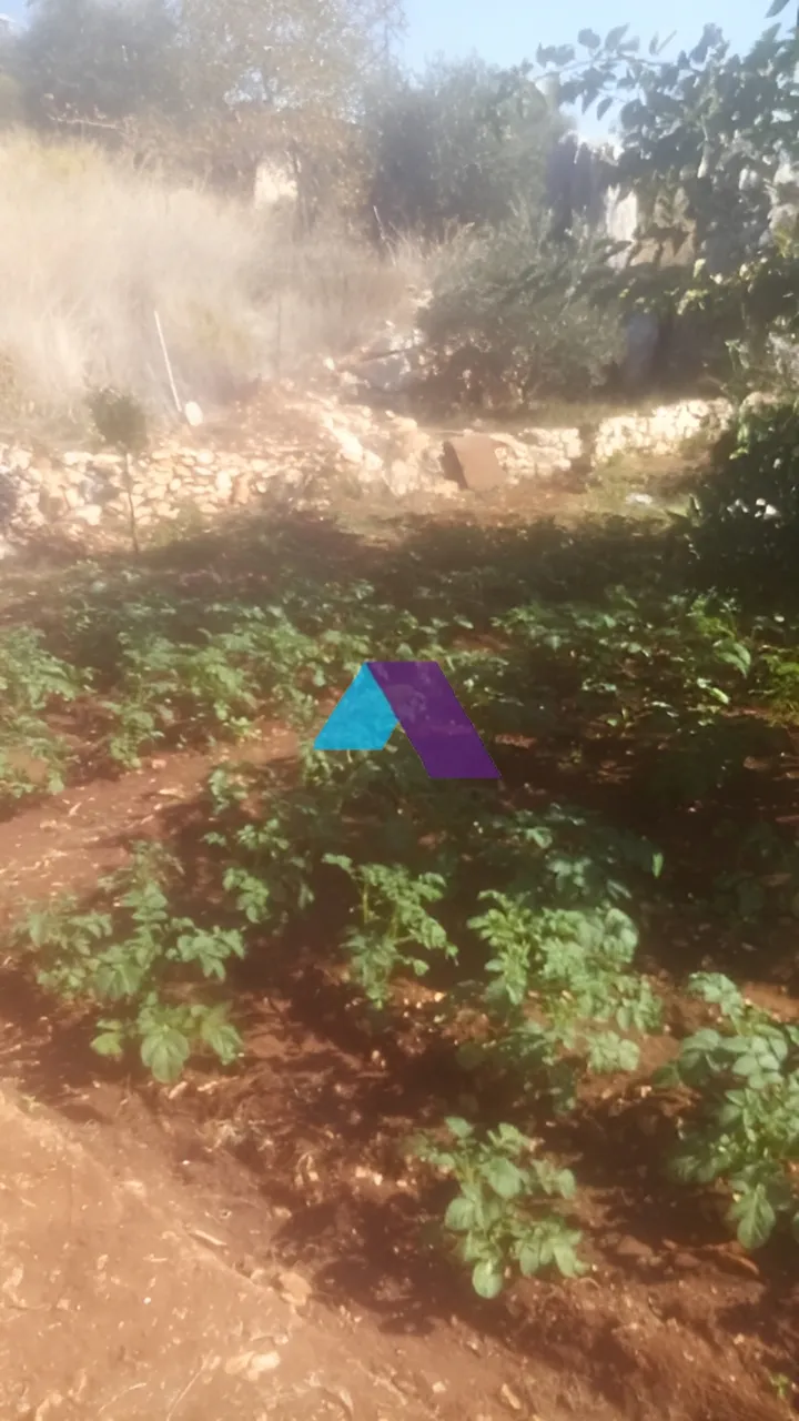 Villa for Sale in Tannourine