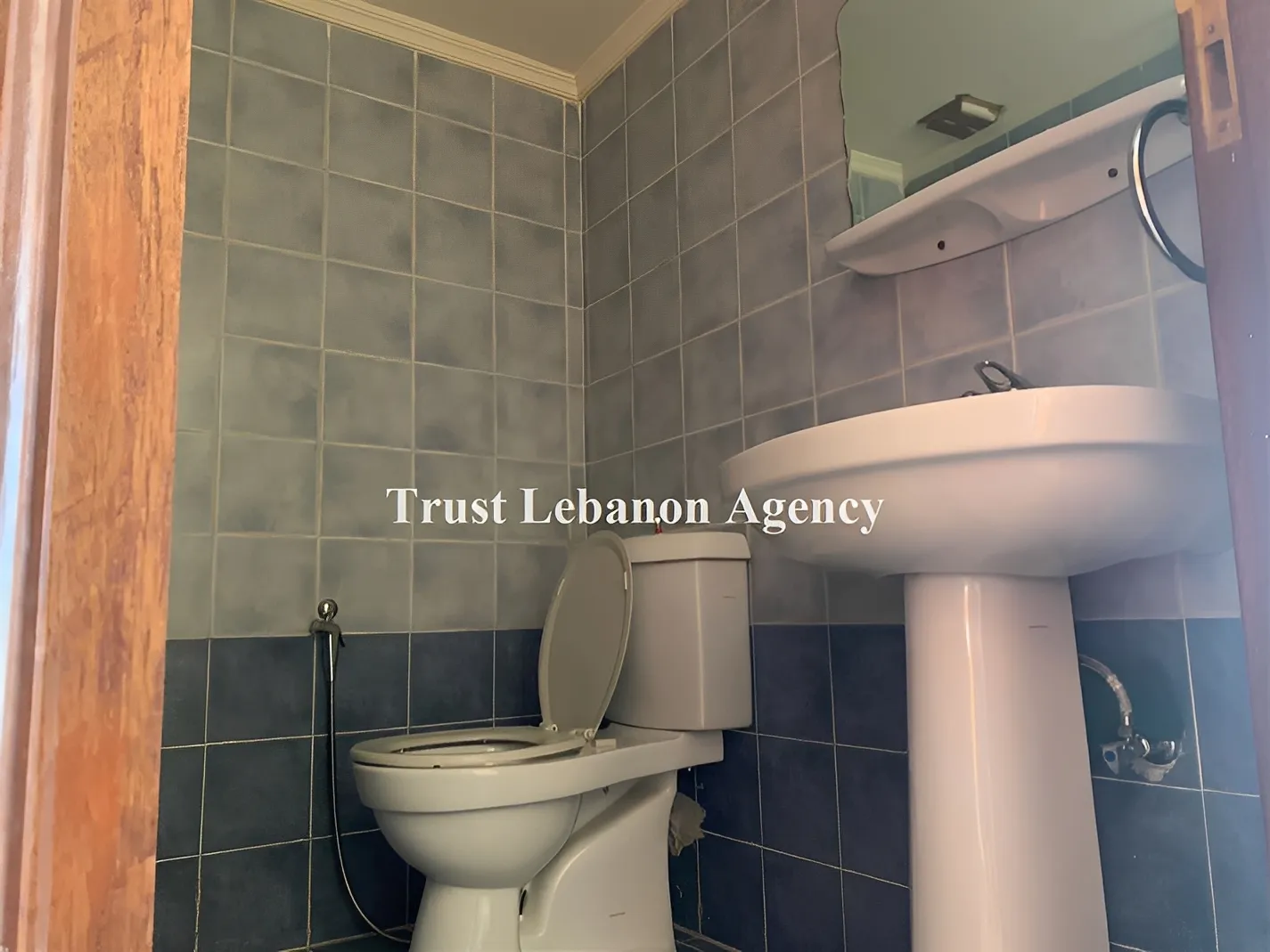 Apartment for Sale in Keserwan Ghedres Lebanon