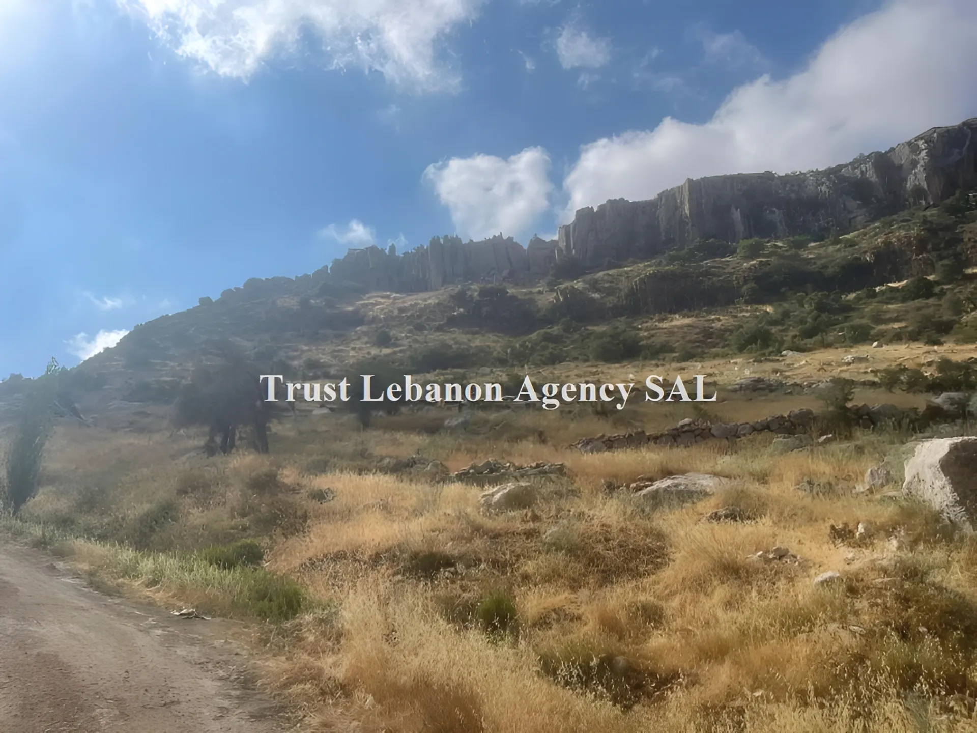 Land for Rent in Keserwan Faraya Lebanon