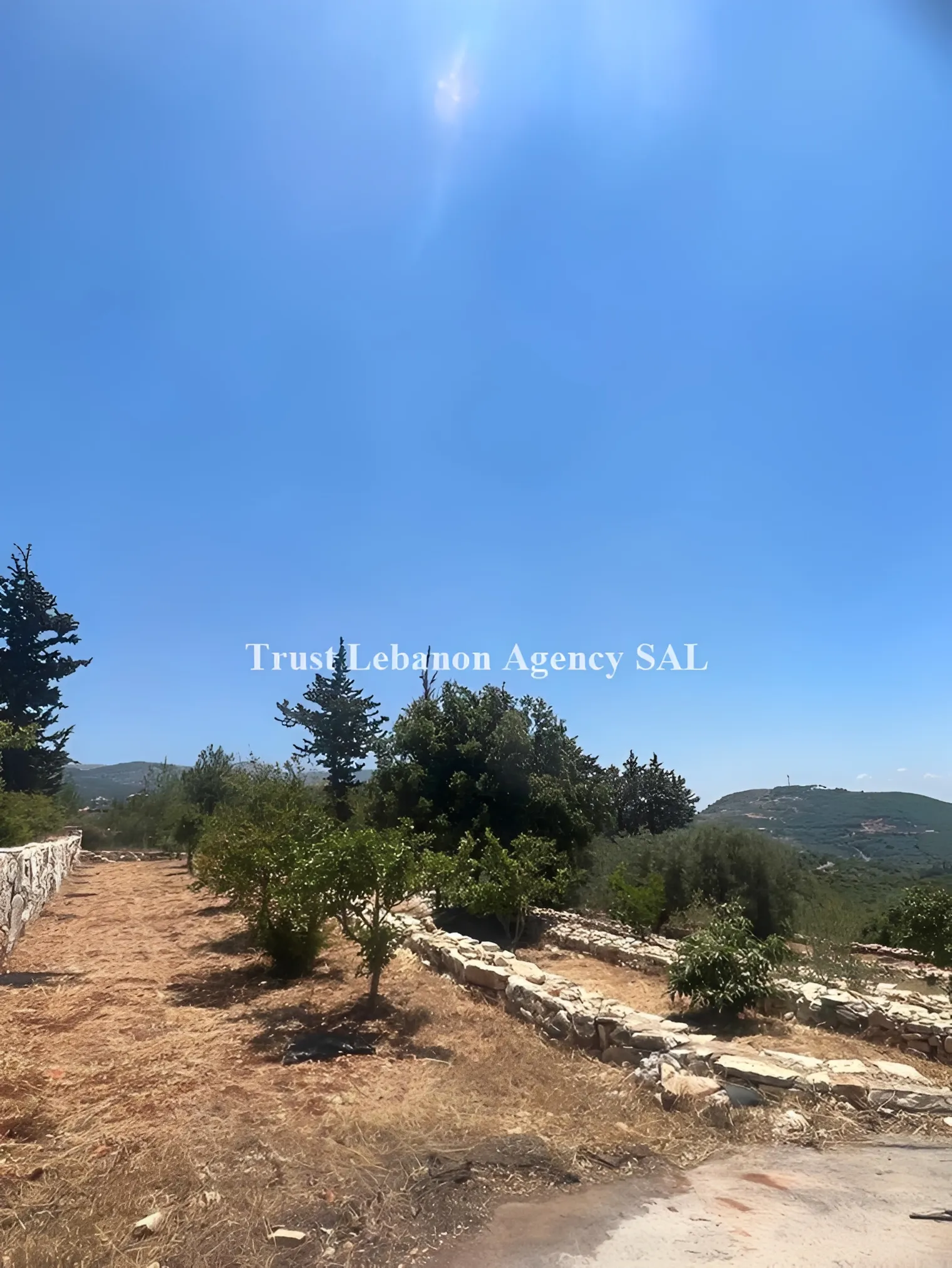 Land for Sale in Jezzine, Aanan