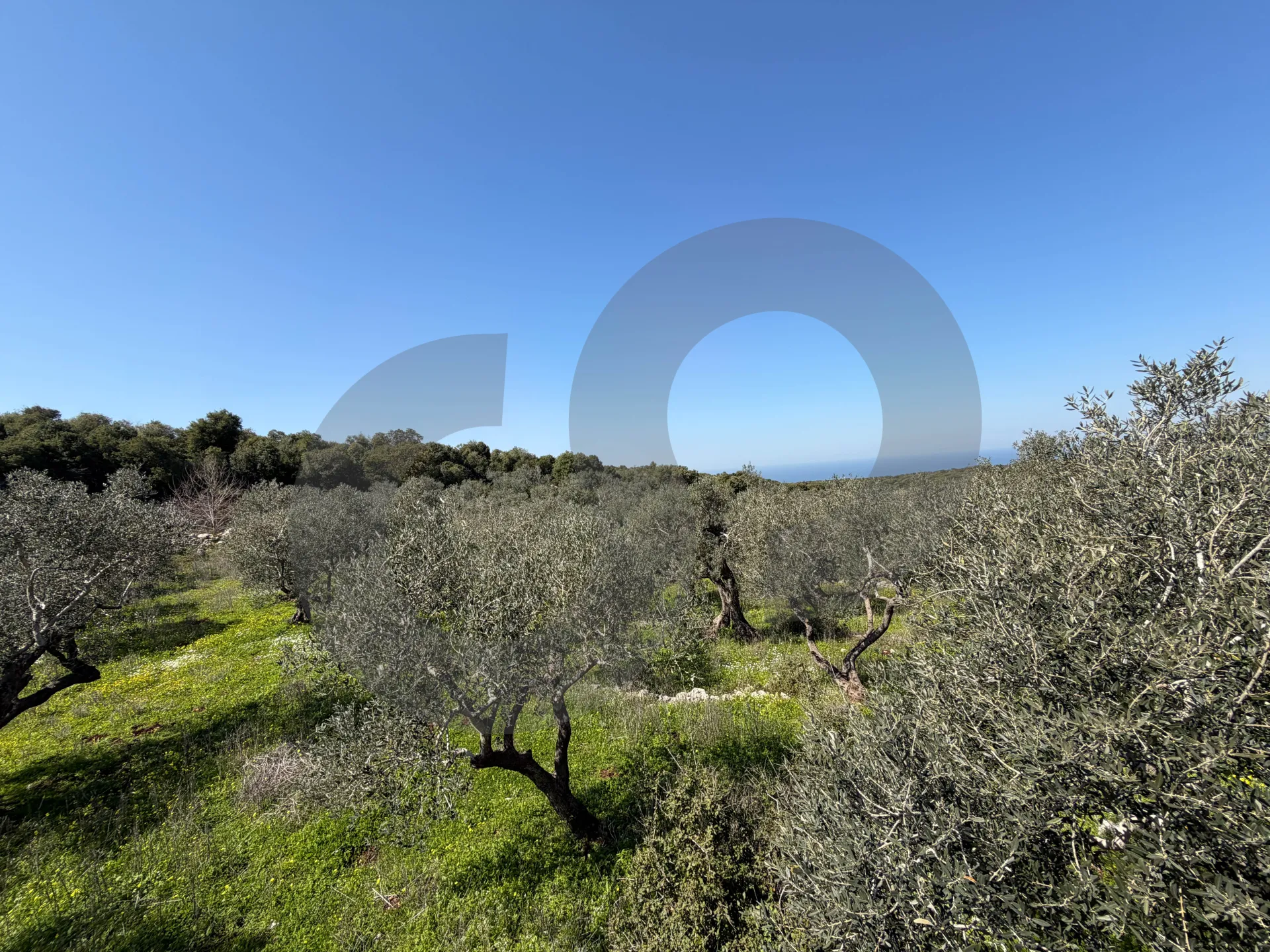 Land for Sale in Koura