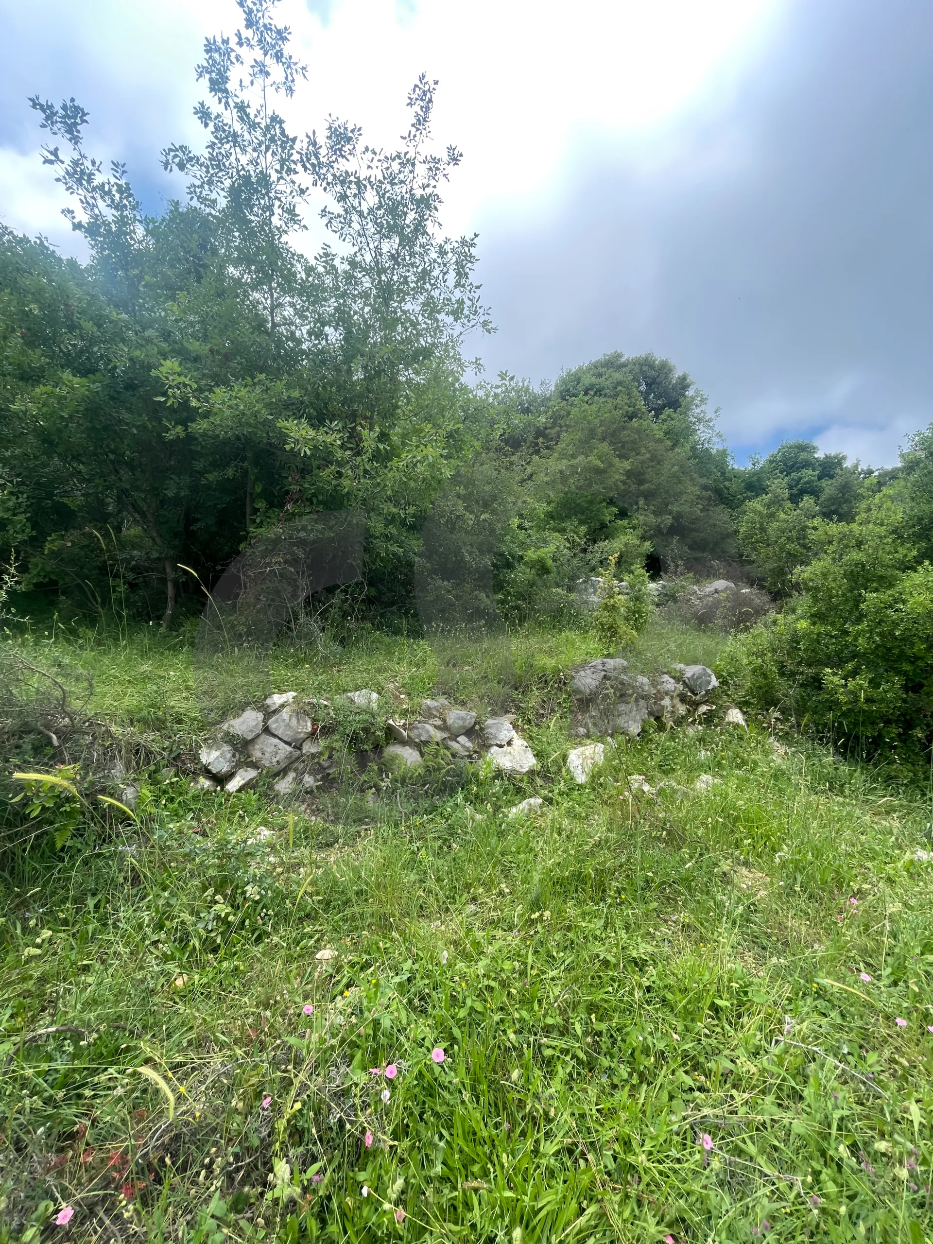 Land for Sale in Breij