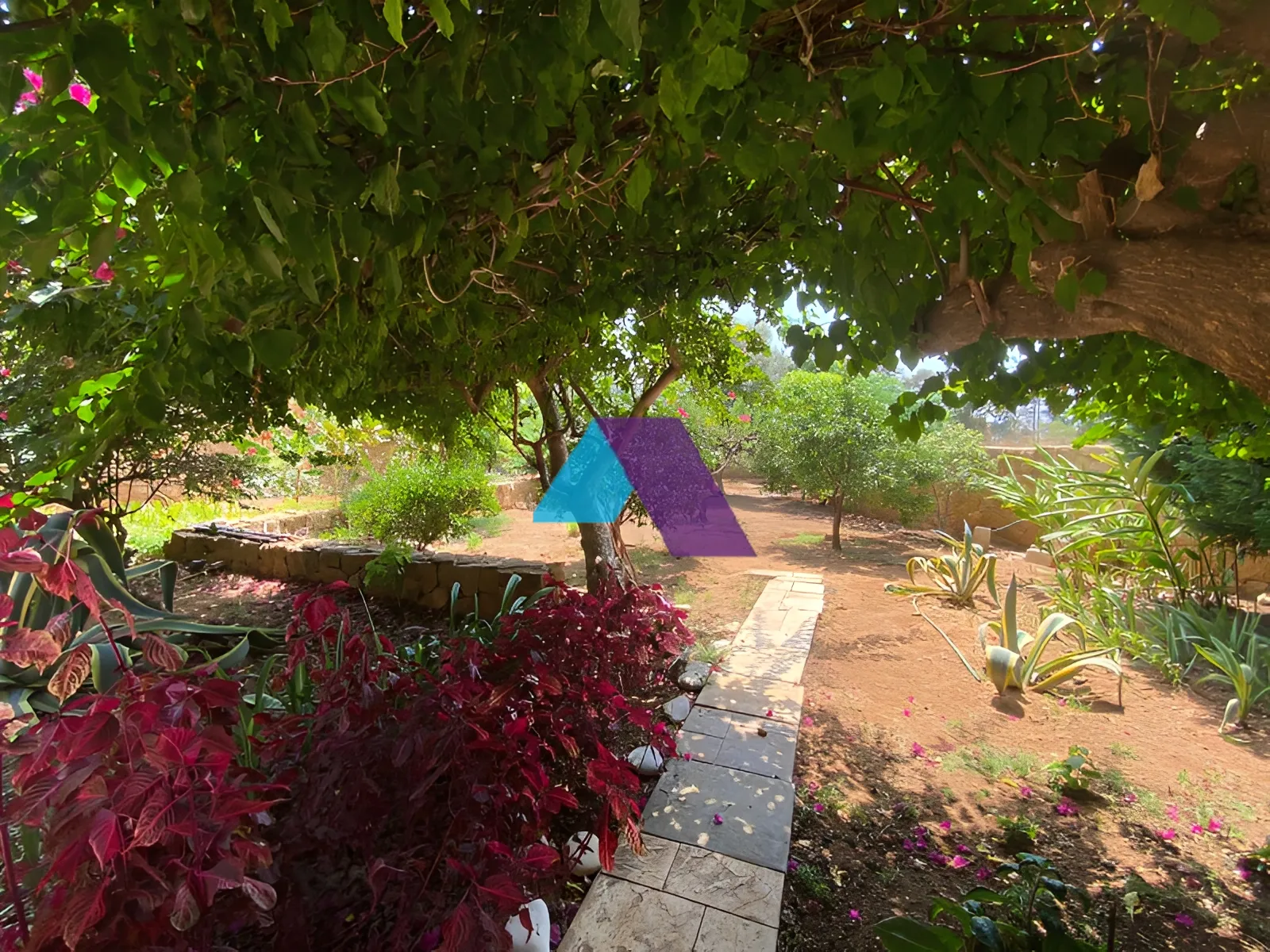Villa for Sale in Batroun