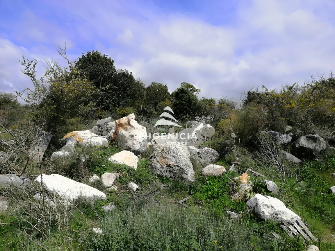 Land for sale in Chikhane, Jbeil, Lebanon