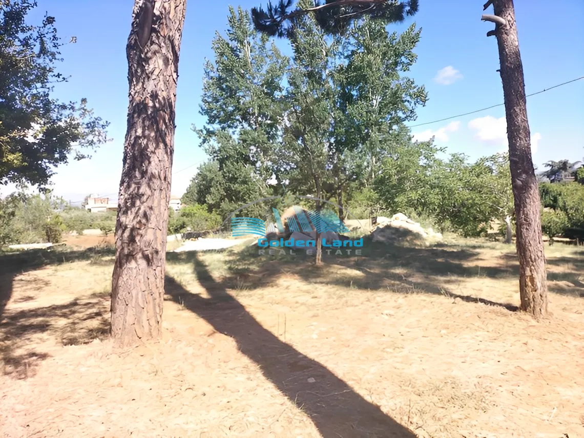 Land for Sale in Hammana, Lebanon
