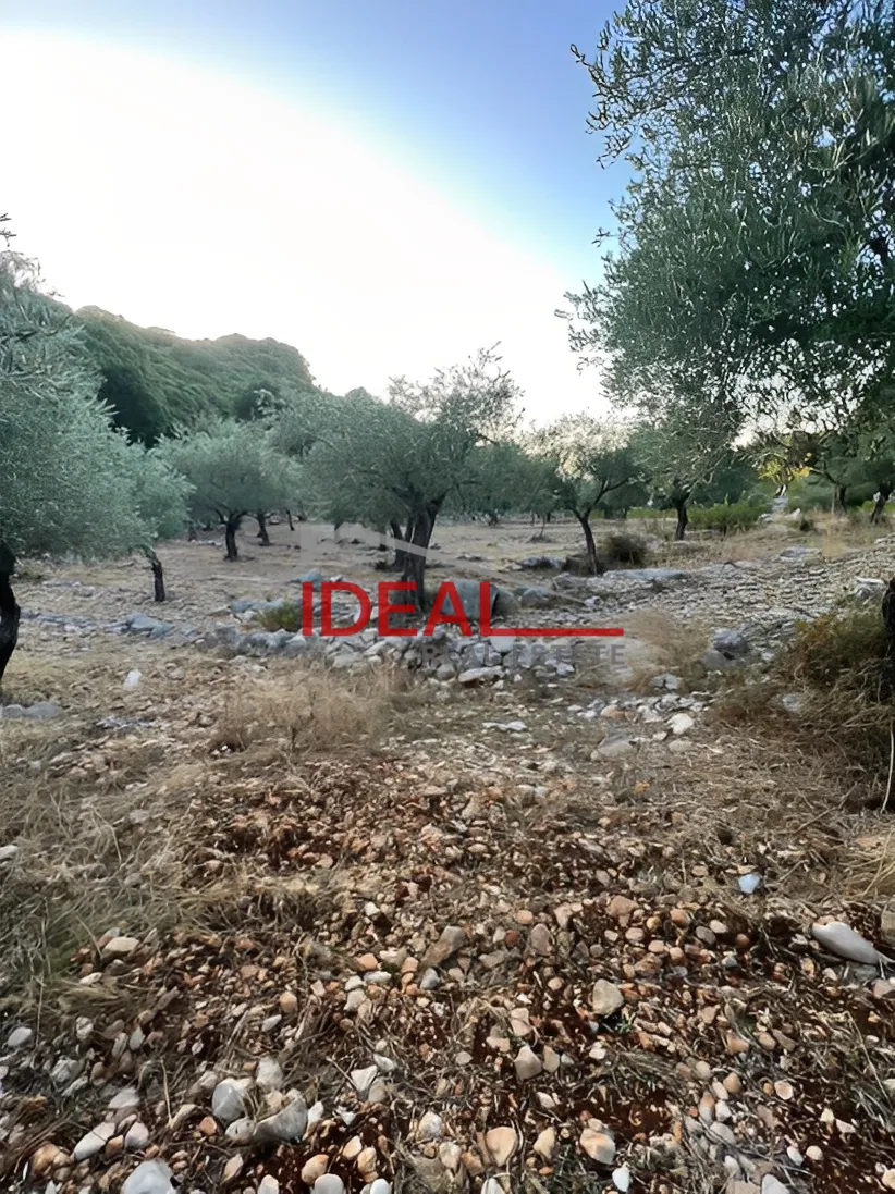 Land for Sale in Halta, Lebanon