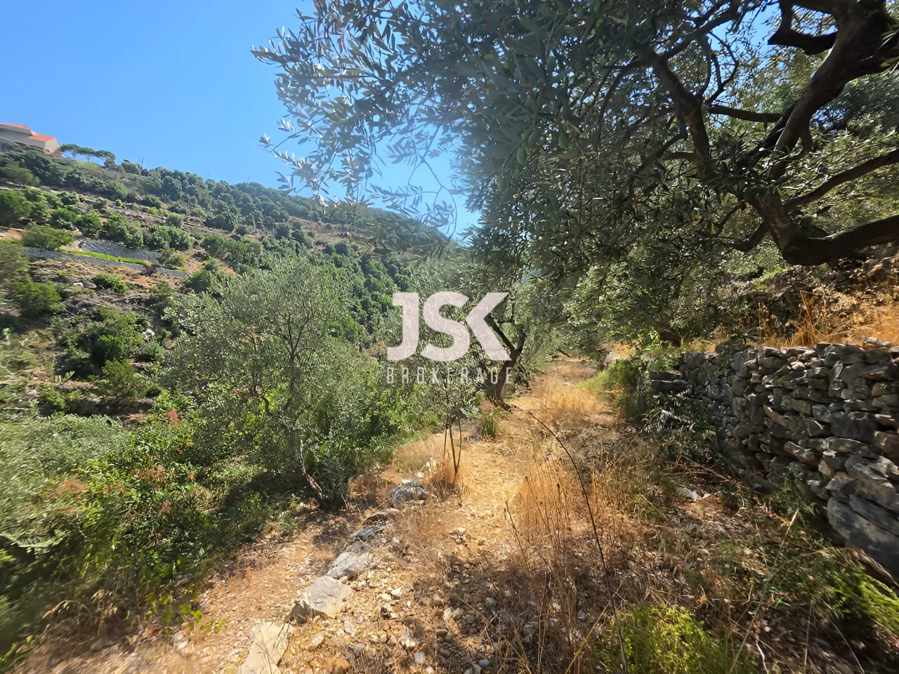Land for Sale in Batroun
