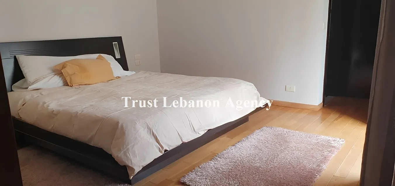 Apartment for Rent in Ashrafieh Beirut Lebanon