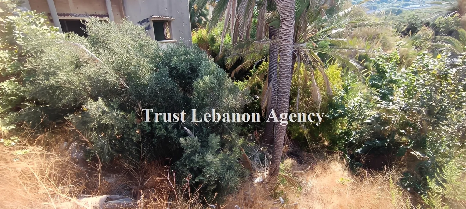 Apartment for Sale in Batroun