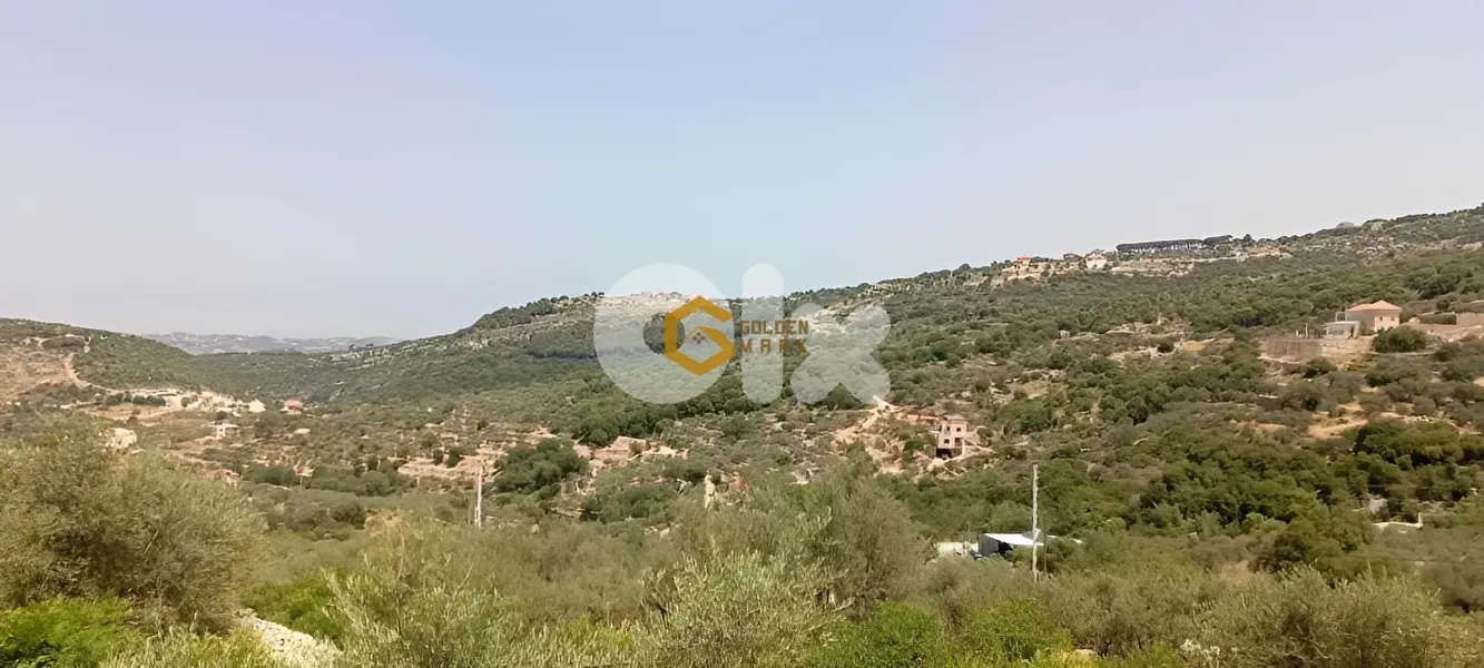 Land for Sale in Chabtine