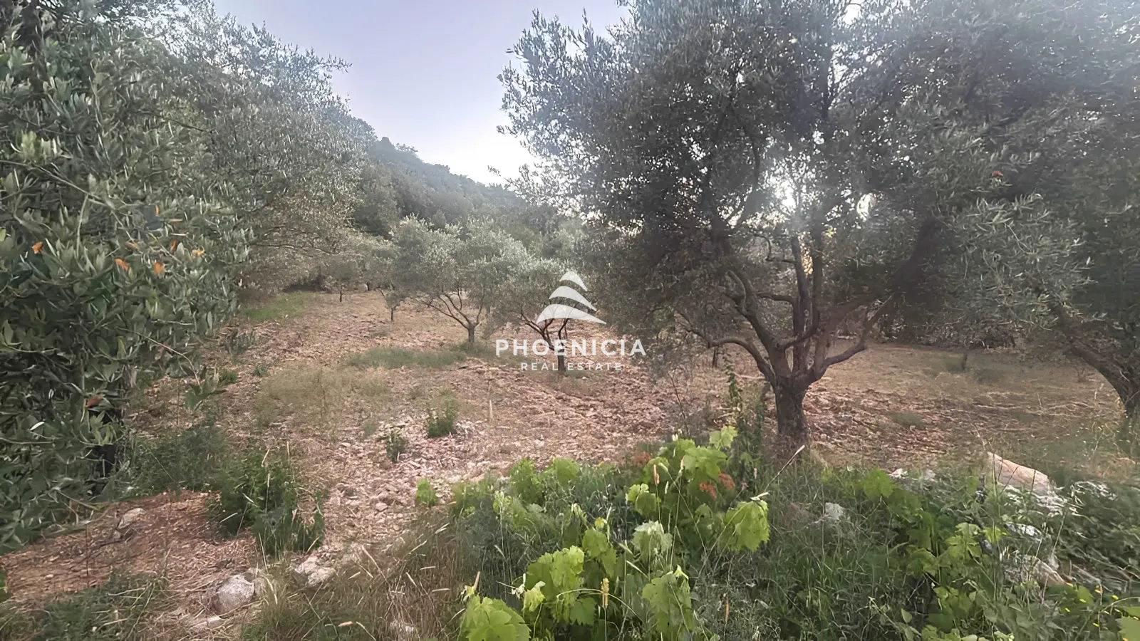 Residential Land for sale in Lehfed, Jbeil, Lebanon