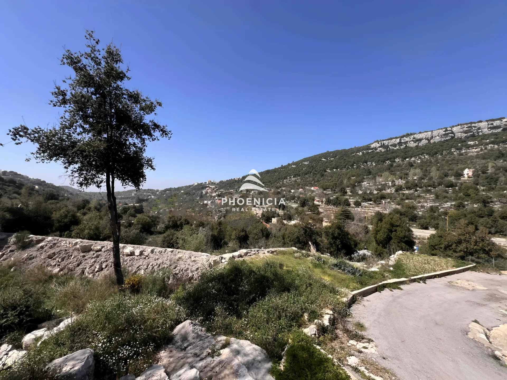 Land for Sale in Lehfed