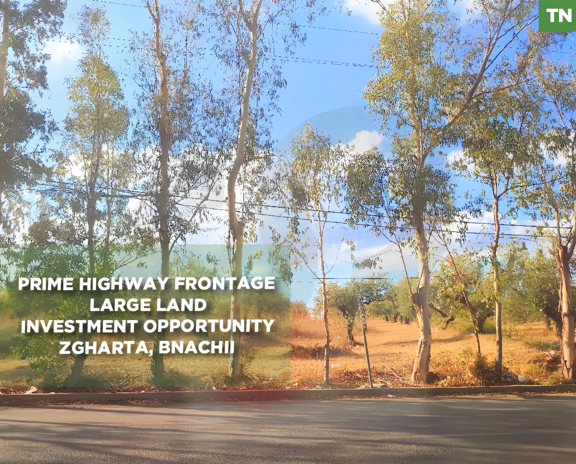 Land for Sale in Bnachii, Lebanon
