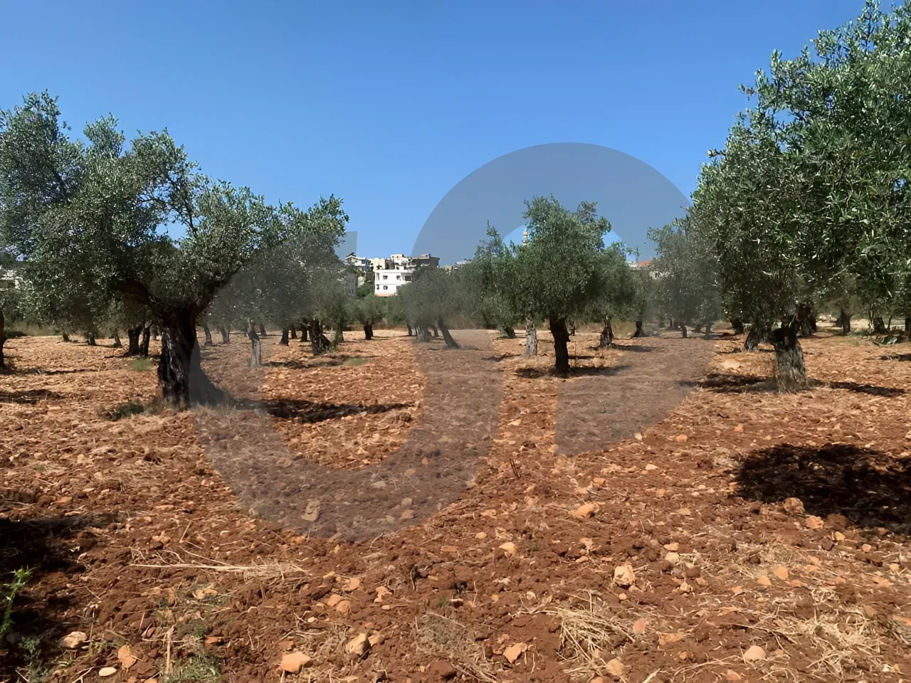 Land for Sale in Koura
