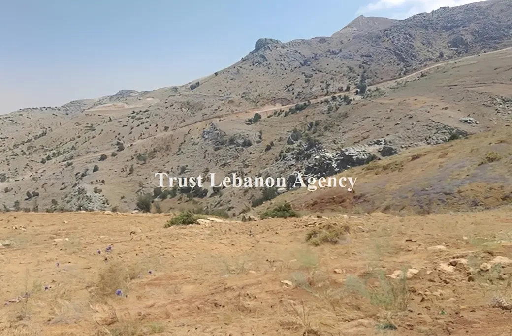 Land for Sale in Alay, Ain Dara