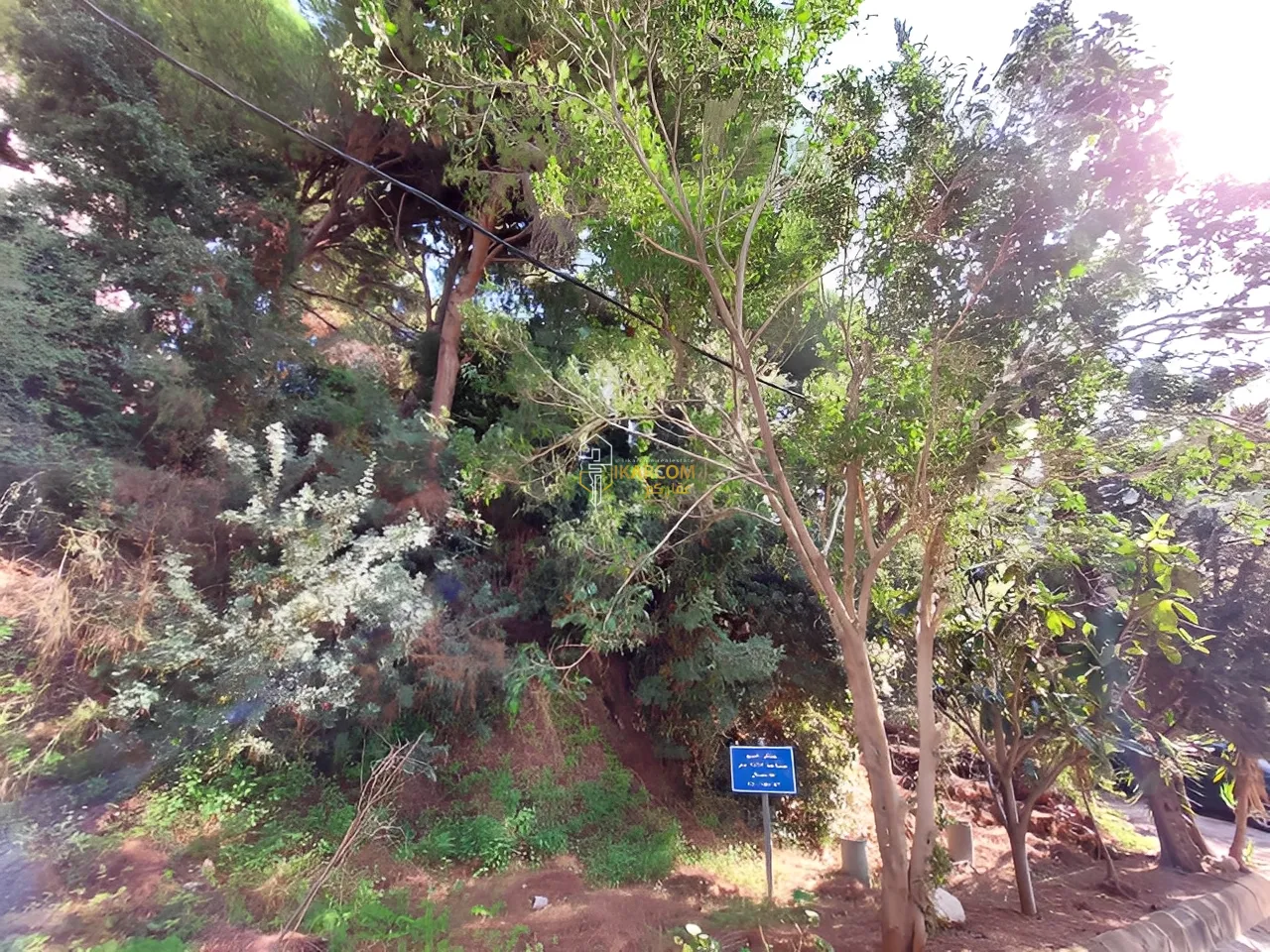 Land for Sale in Zalqa