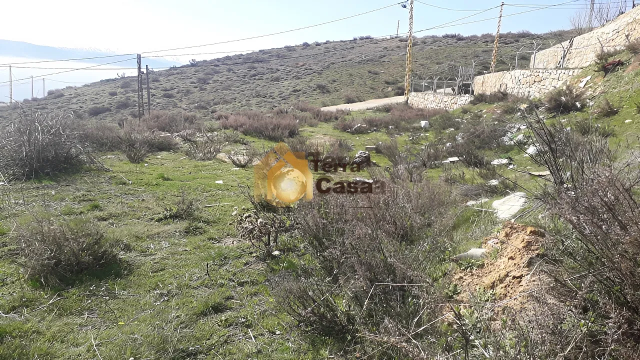 Land for Sale in Qoub Elias Zahle Bekaa