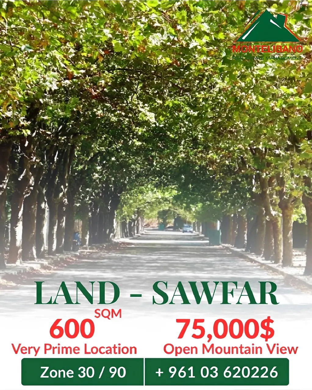 Residential Land for sale in Saoufar, Lebanon