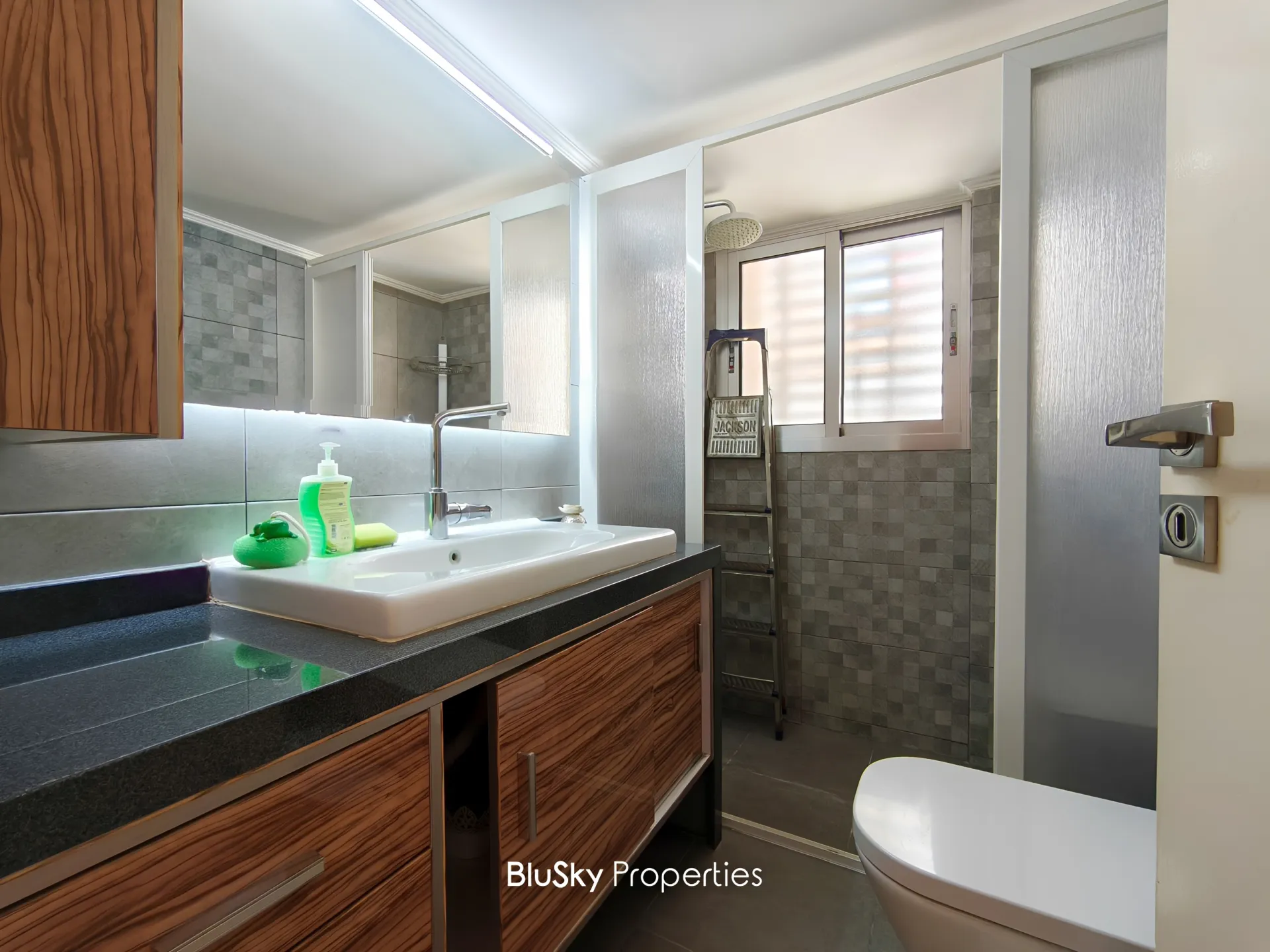 Apartment for rent in Bsalim, lebanon
