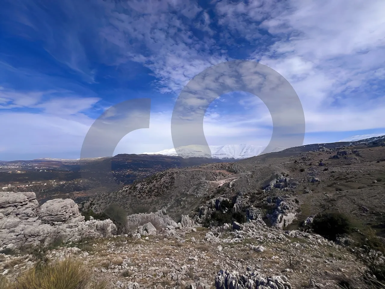 Land for Sale in Zaarour
