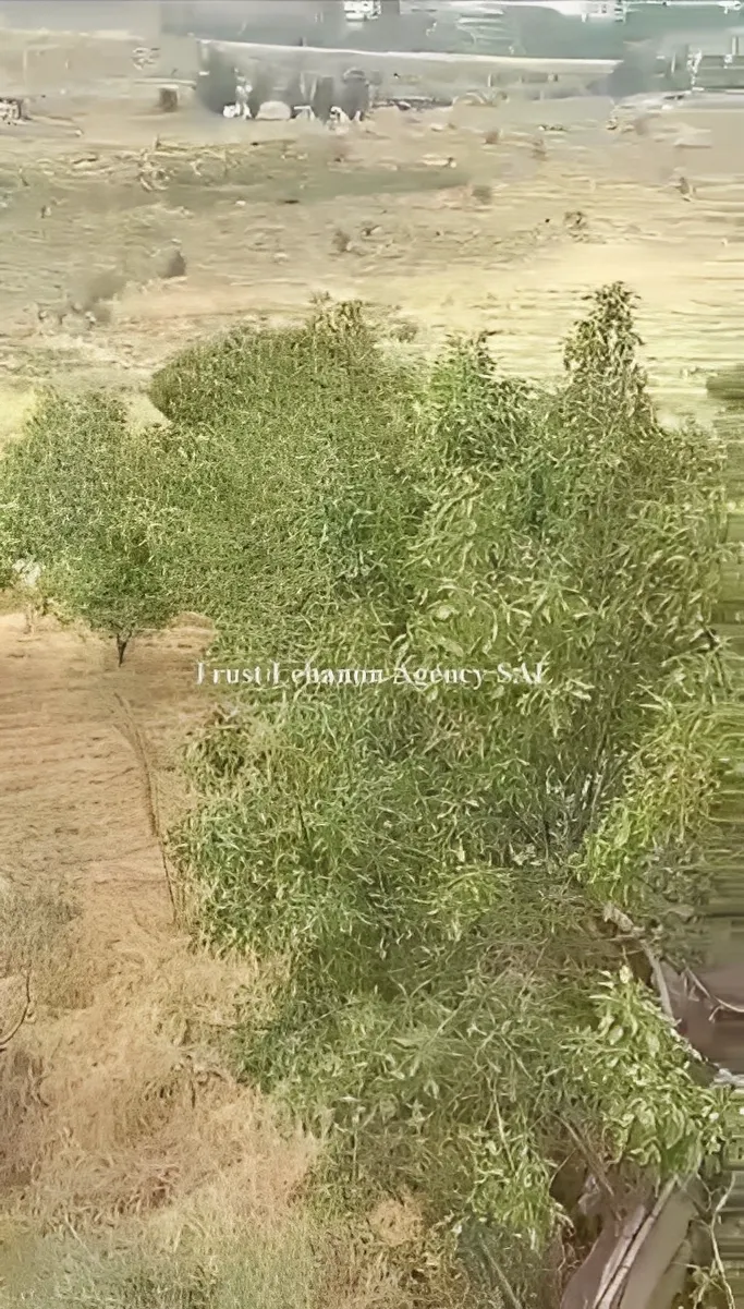 Land for Sale in Alay, Bhamdoun Al Dayaa, Lebanon