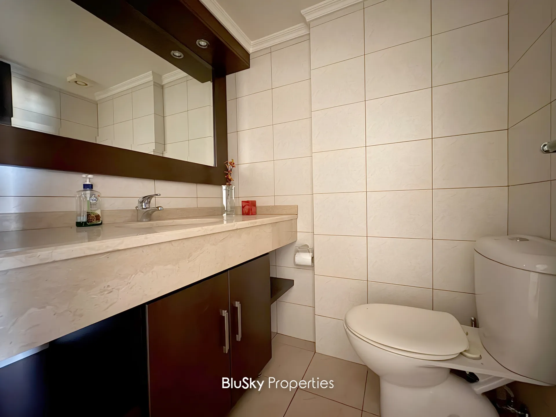 Apartment for rent in Bsalim, lebanon