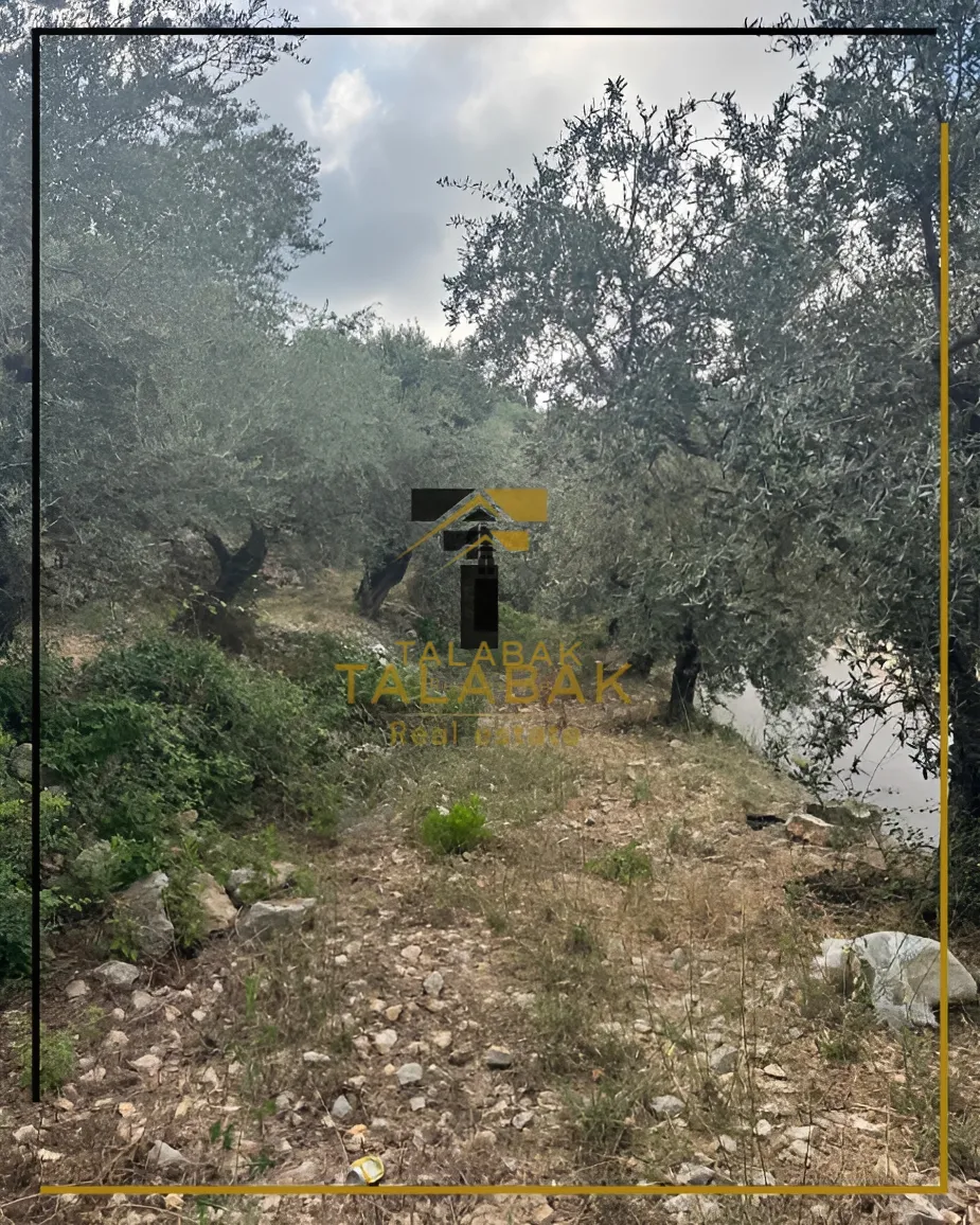 Residential Land for sale in Behdaidat, Lebanon