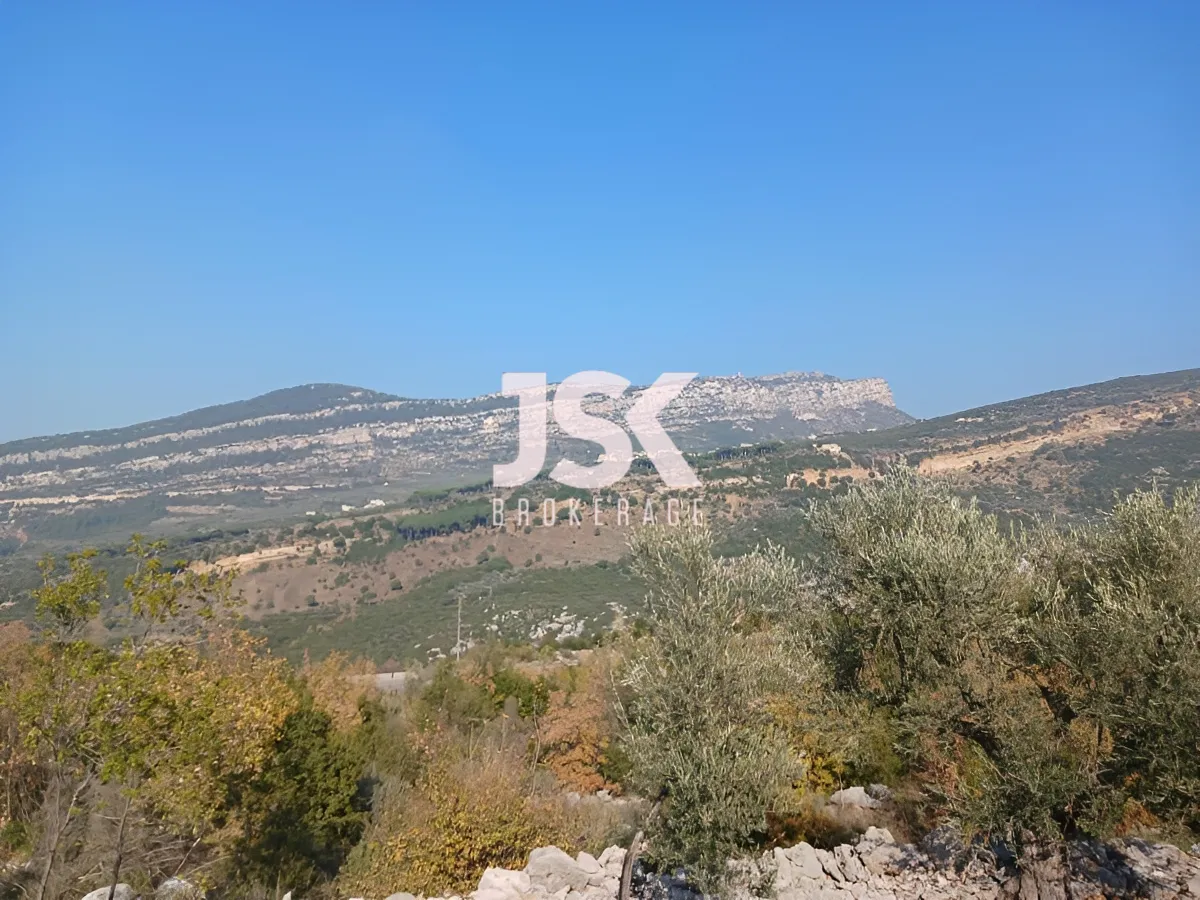 Land for Sale in Douma, Lebanon