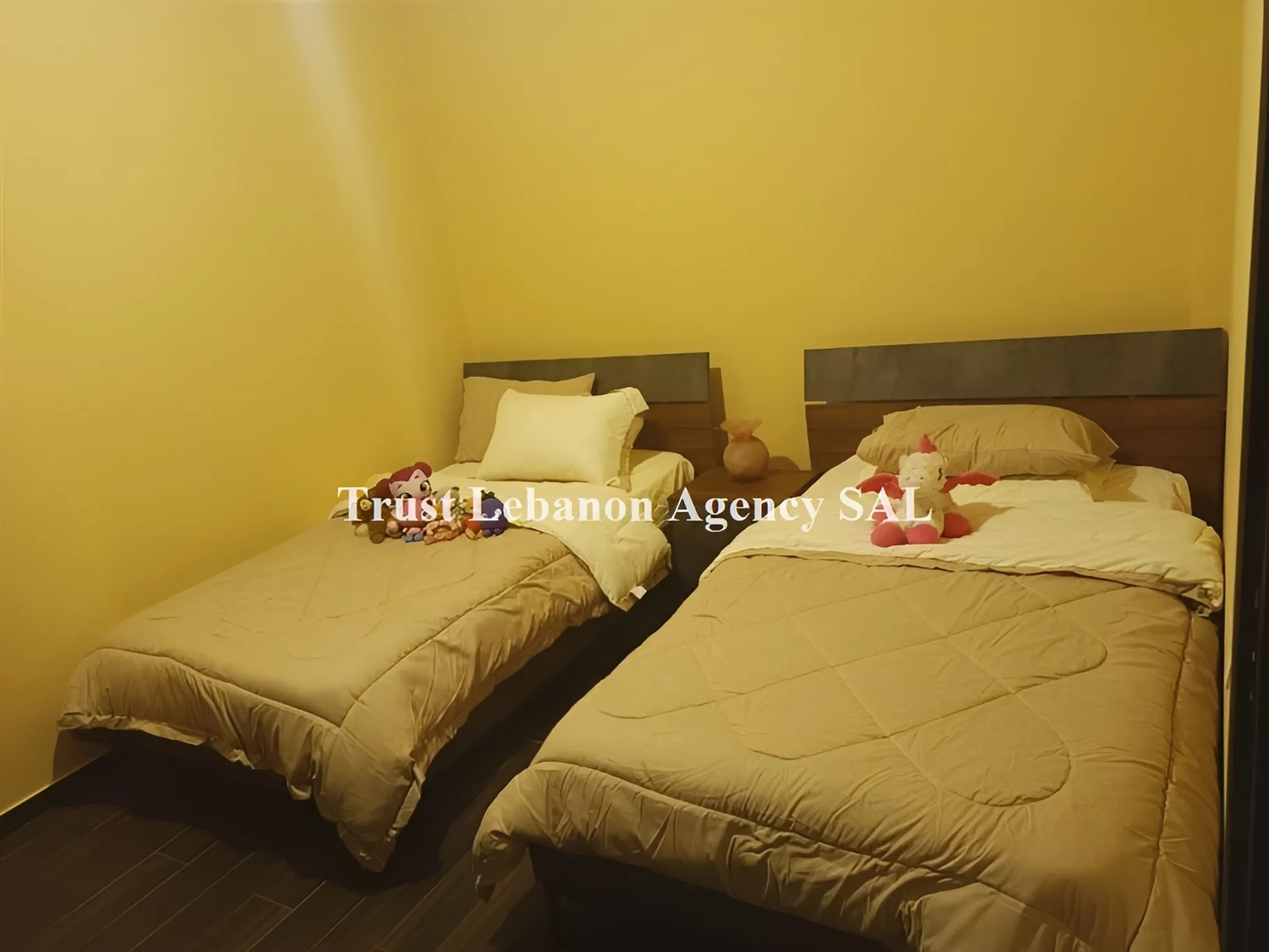 Apartment for Sale in Baabda Bleibel Lebanon