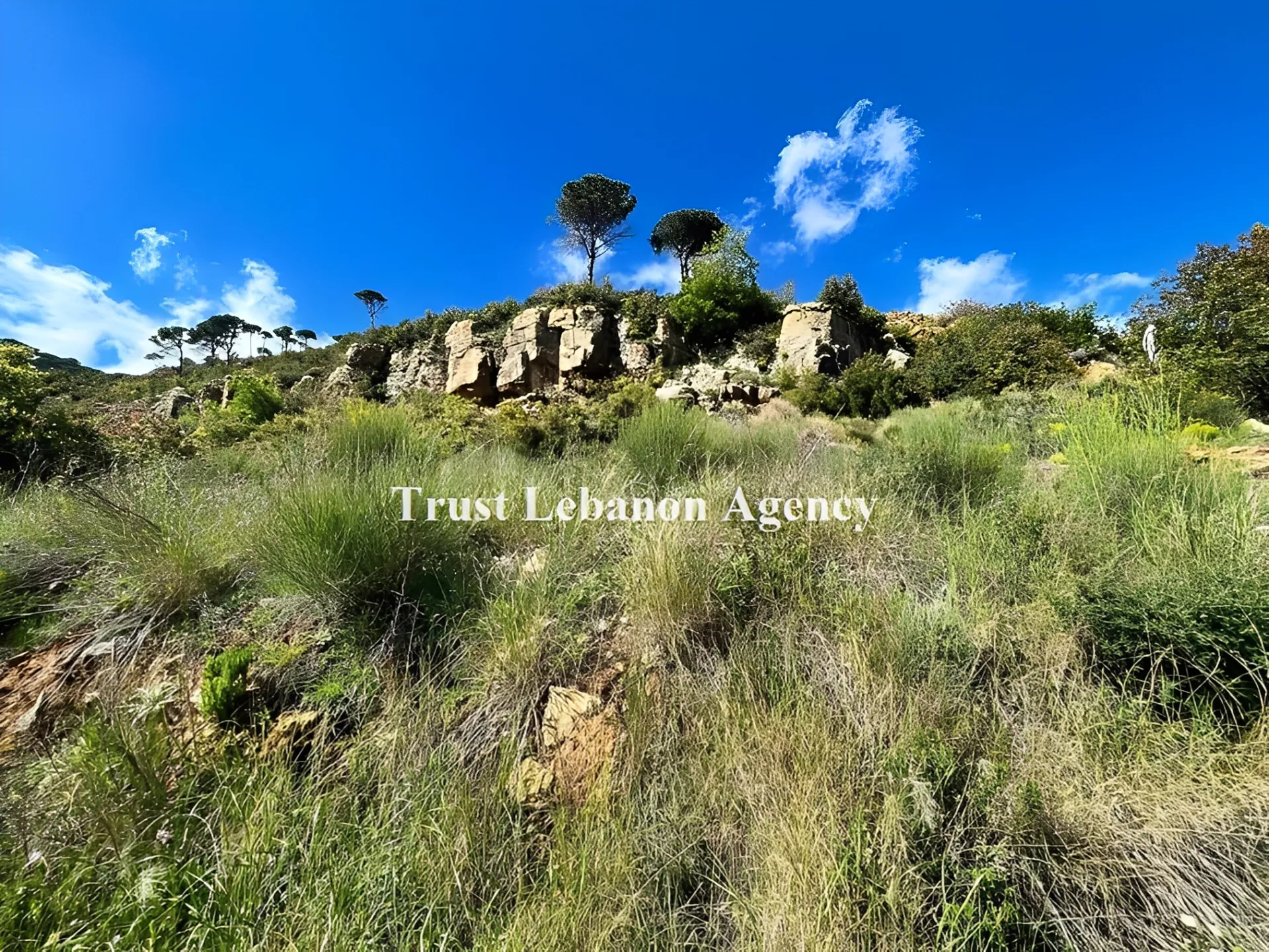 Land for Sale in Metn Al Kaakour Lebanon