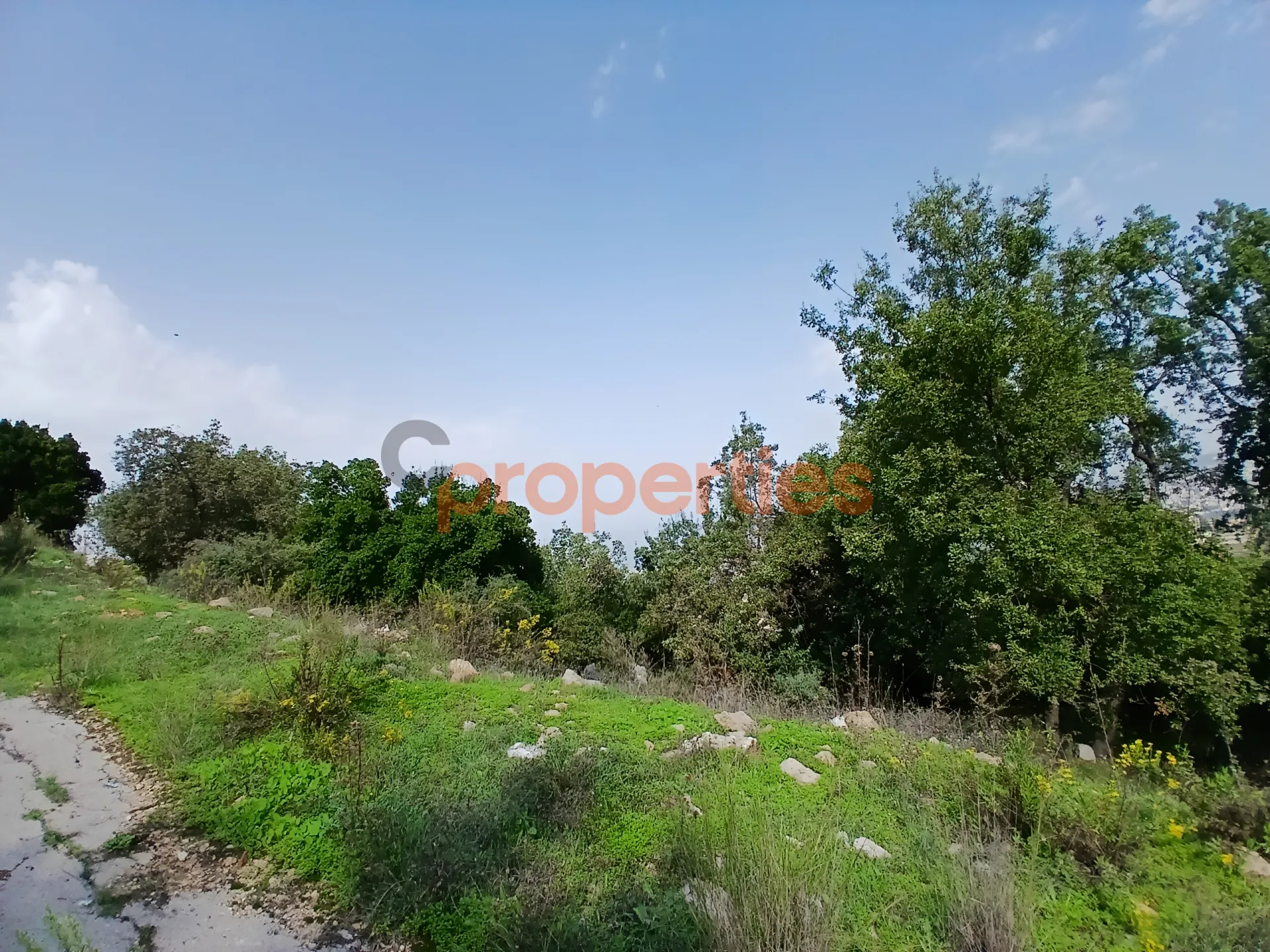 Residential Land for Sale in Bharsaf