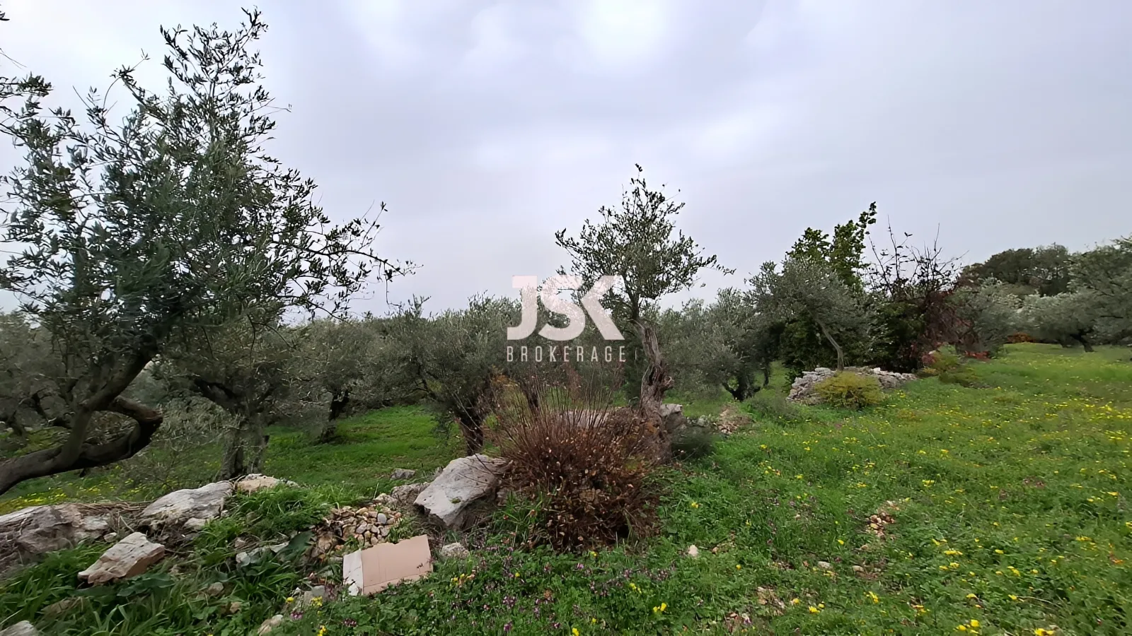 Land for Sale in Monsef