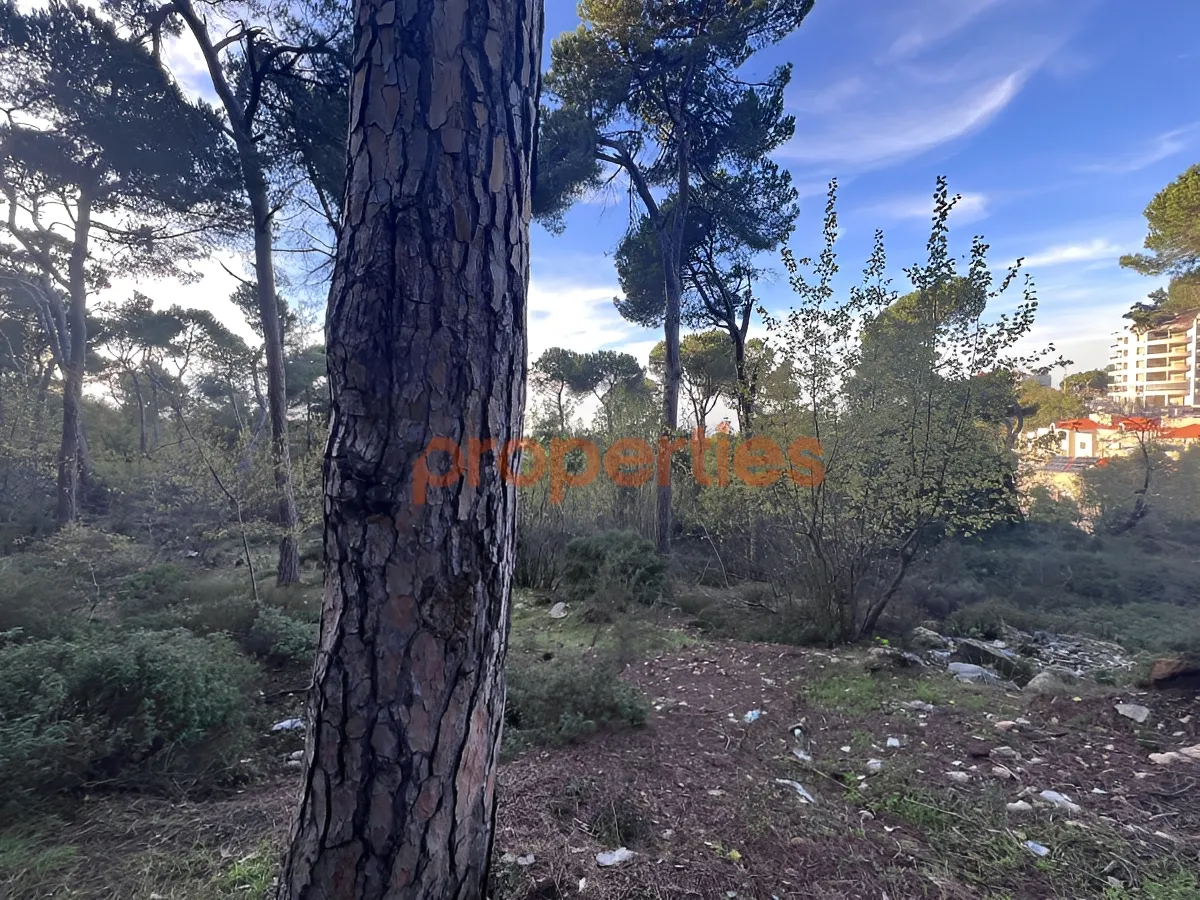 Land for Sale in Bharsaf