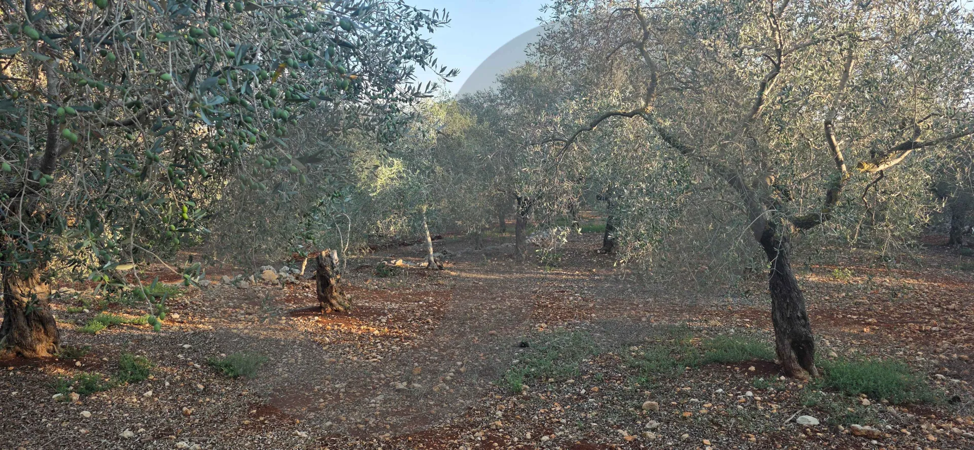 Land for Sale in Koura