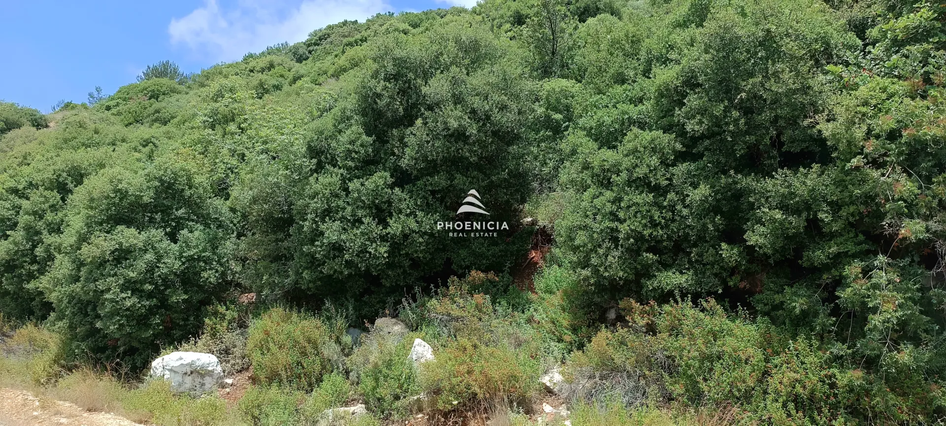 Land for Sale in Blat