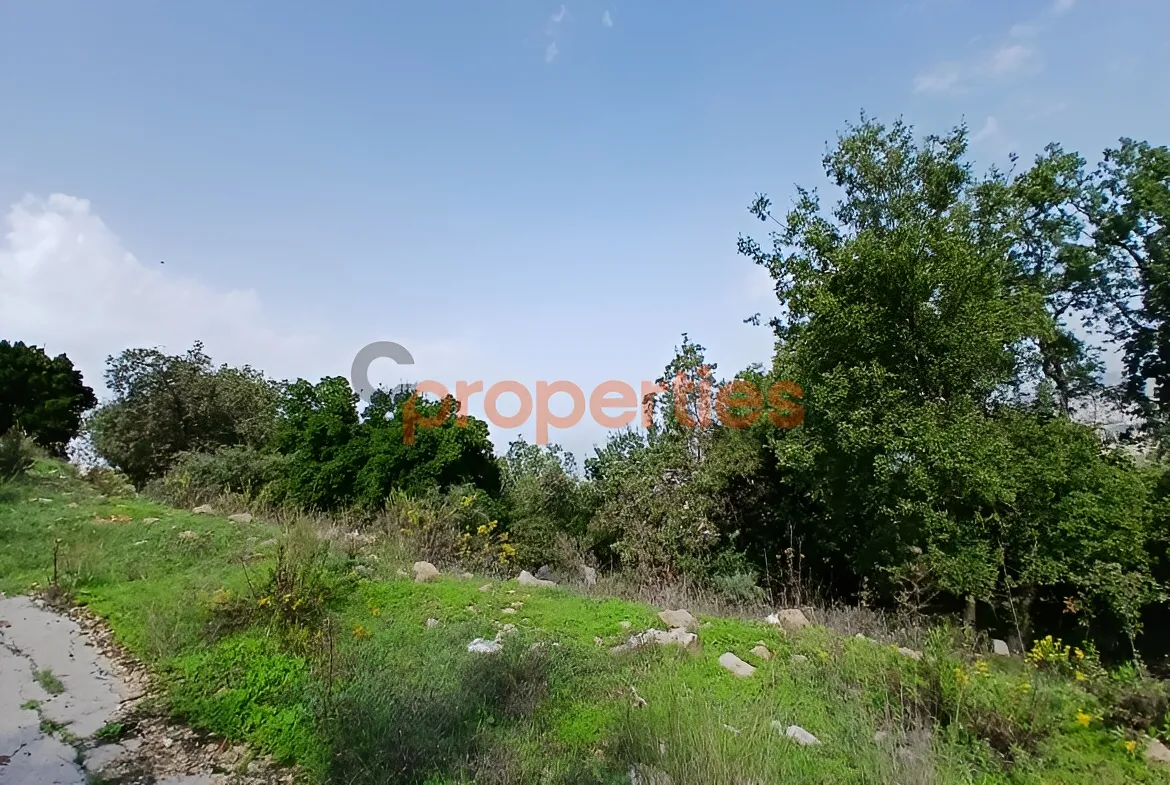 Residential Land for Sale in Bharsaf