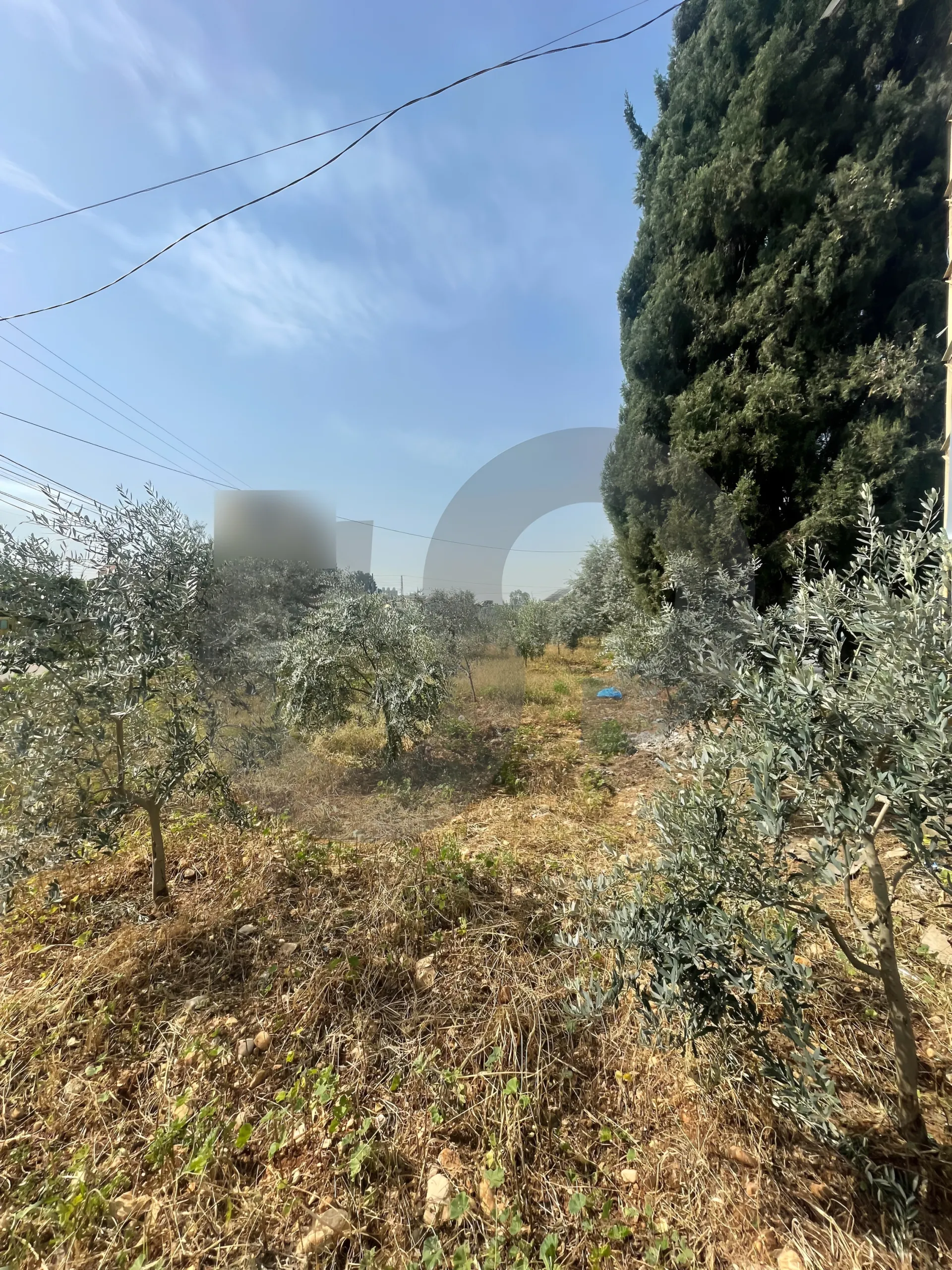 Land for Sale in Zgharta