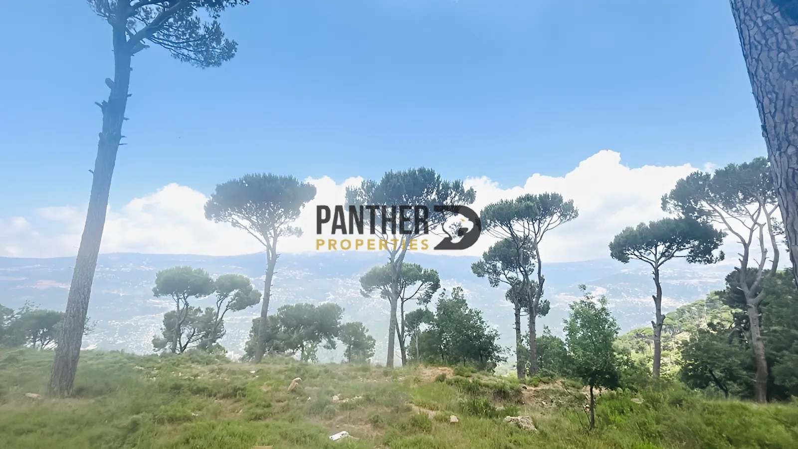 Land for sale in Salima, lebanon