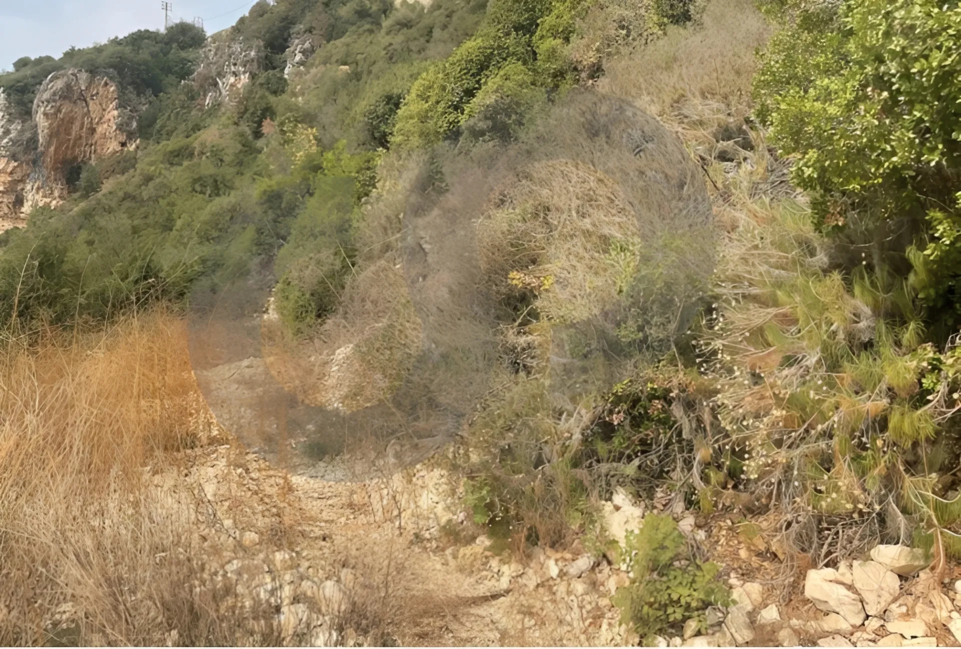 Land for Sale in Fatri, Byblos, Lebanon