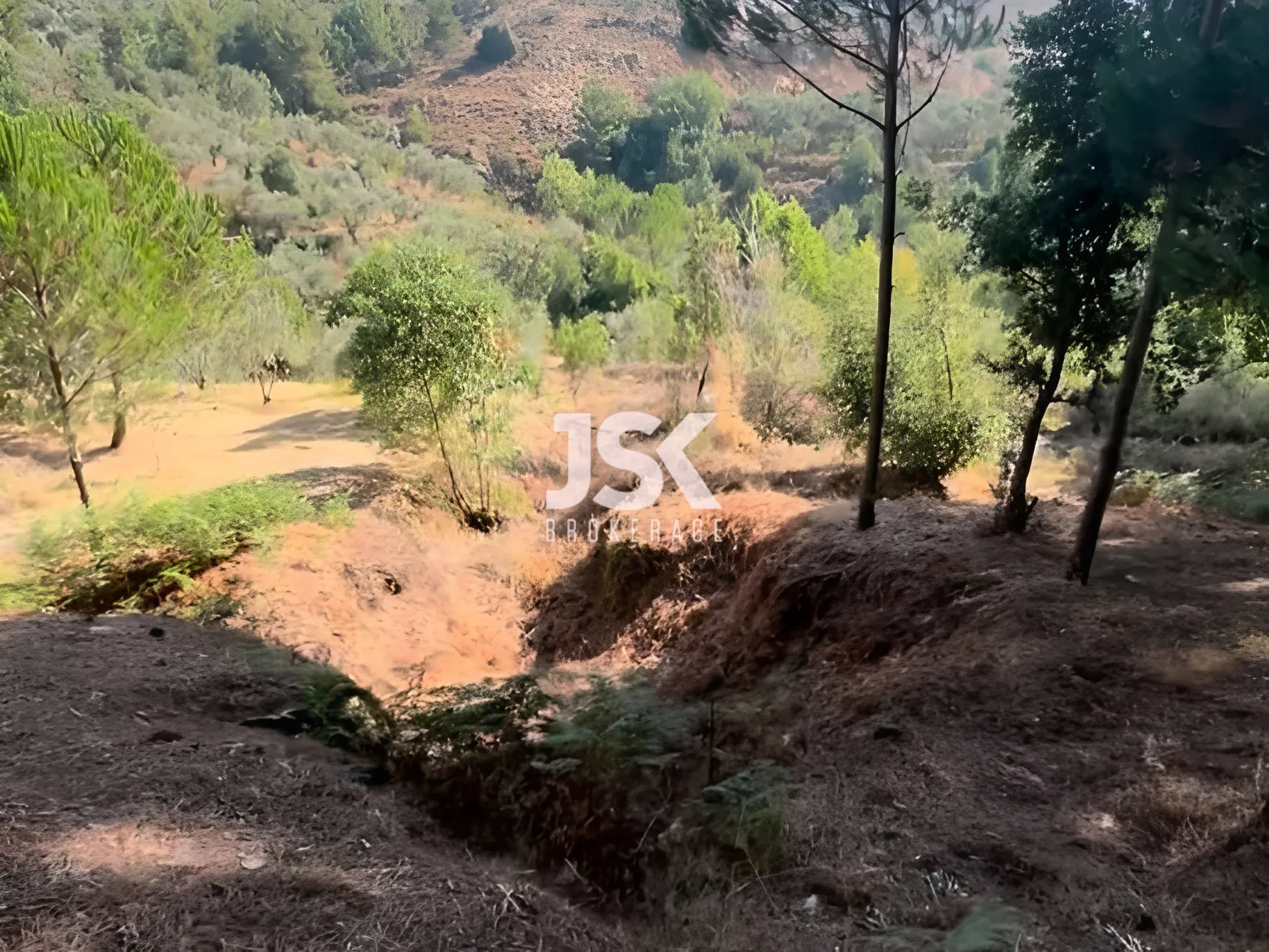 Land for Sale in Aley