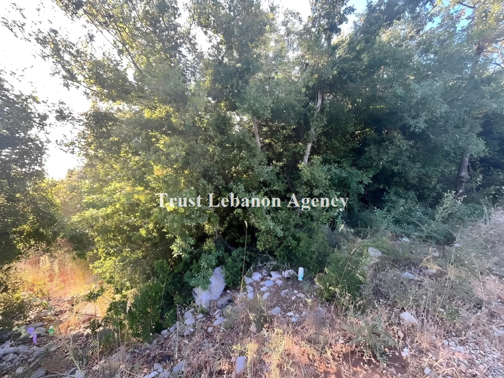 Land for Sale in Metn Zabougha Lebanon