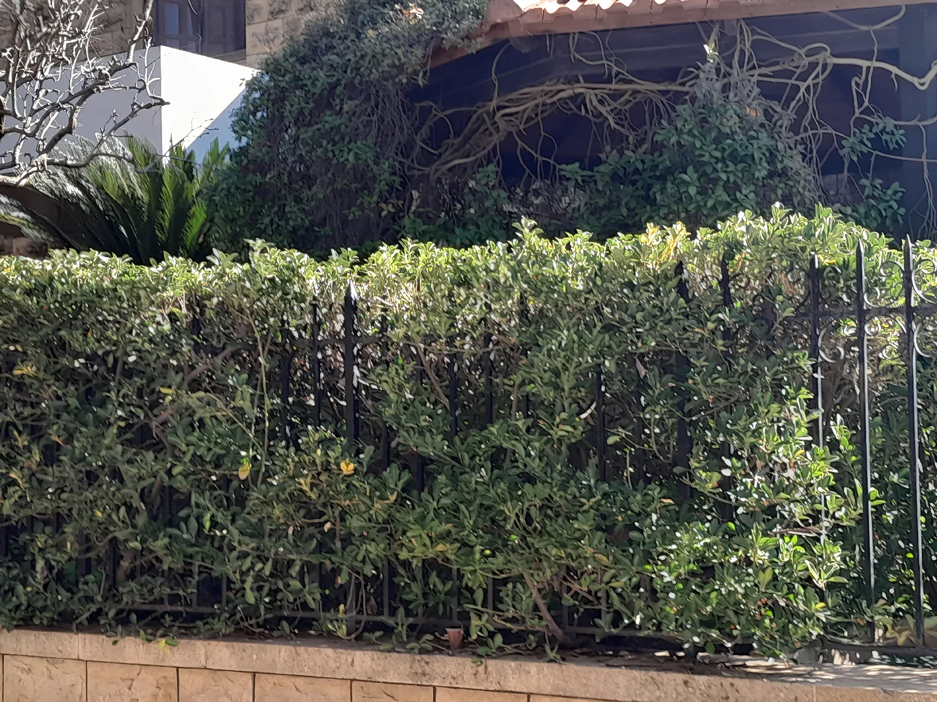 Residential in Baabdat, lebanon